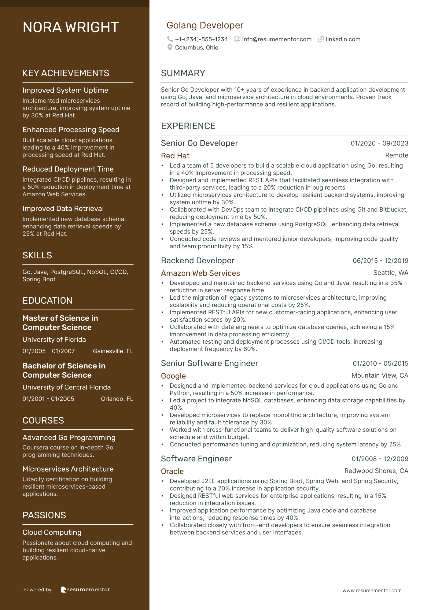 39 Developer Resume Examples To Get You Hired in 2024