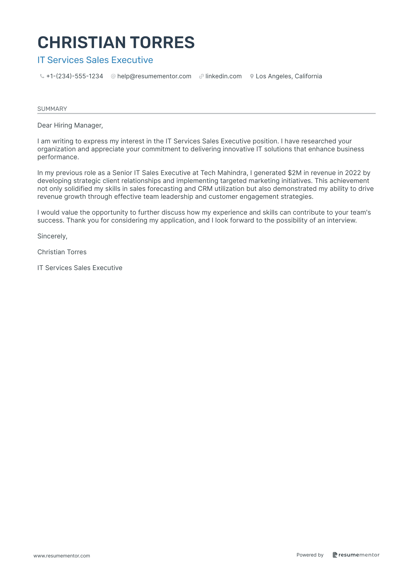 IT Services Sales Executive