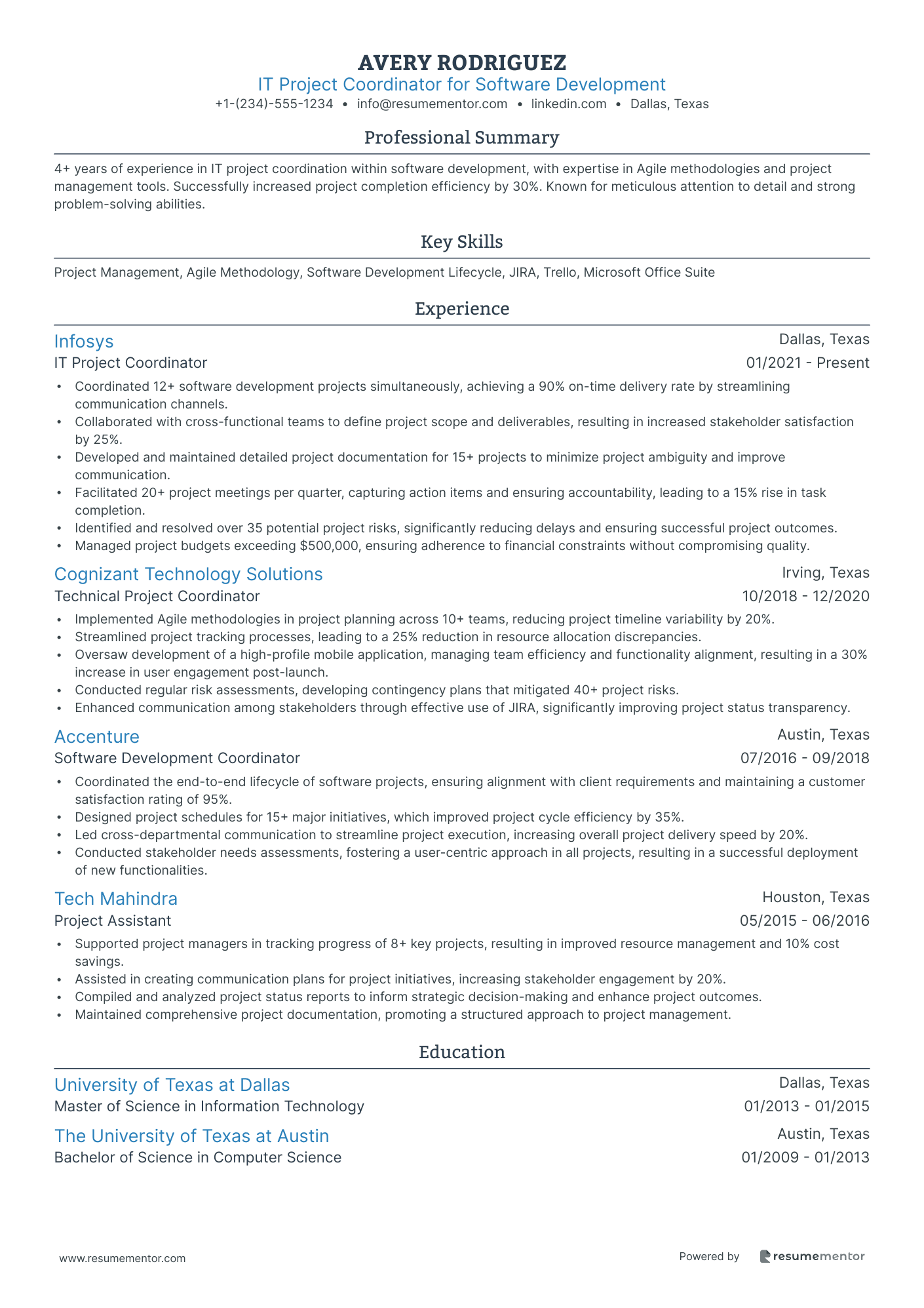 IT Project Coordinator for Software Development