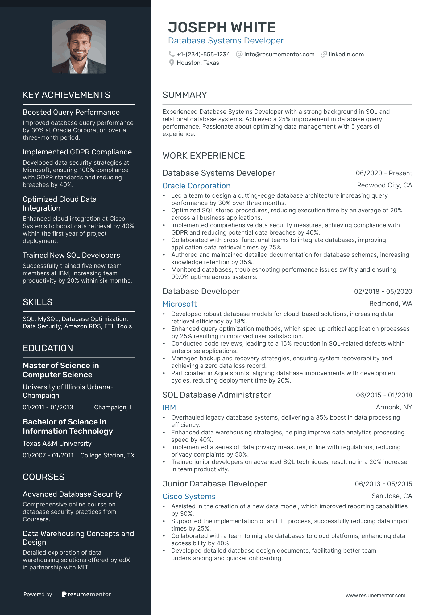 Database Systems Developer