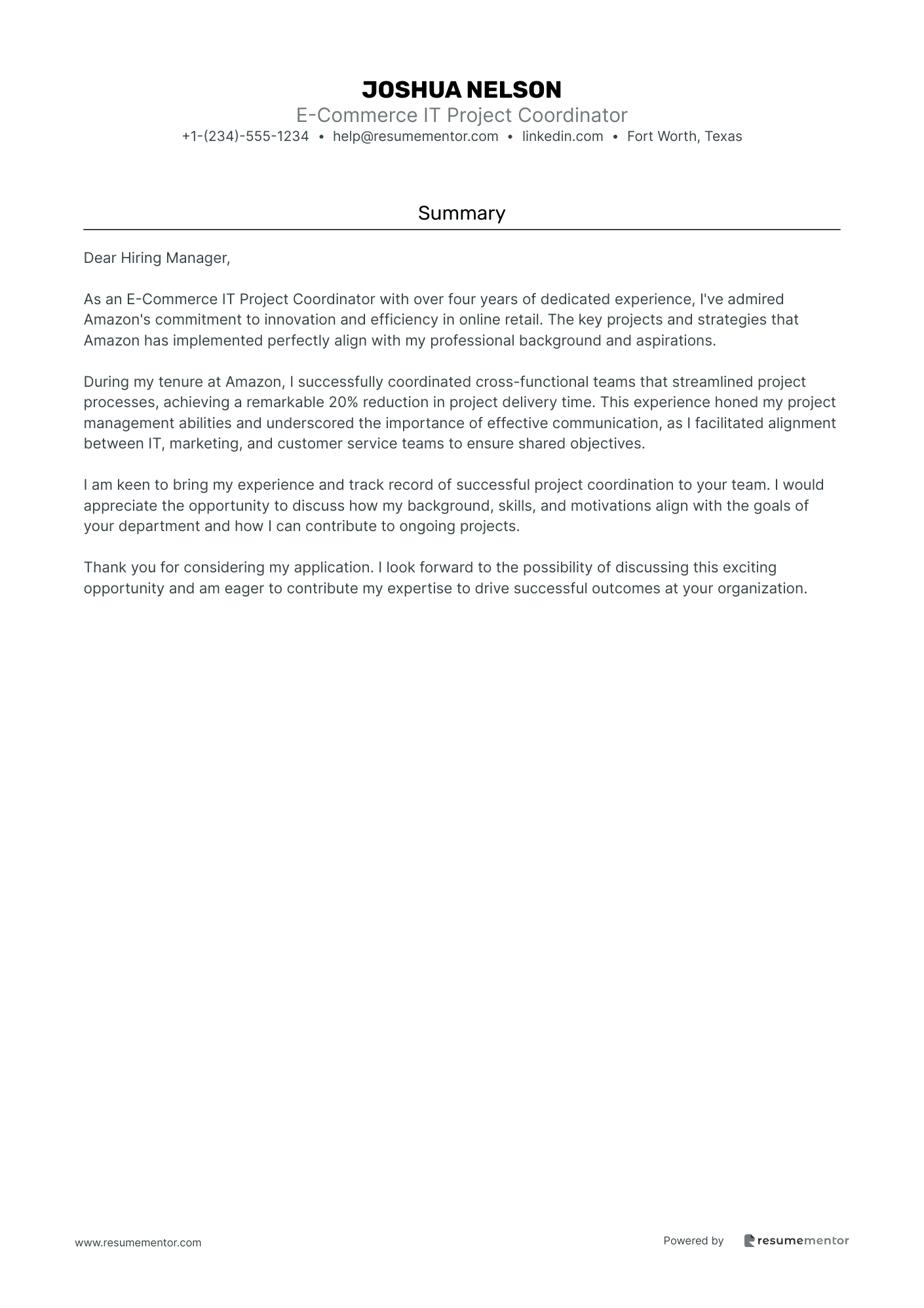 E Commerce IT Project Coordinator