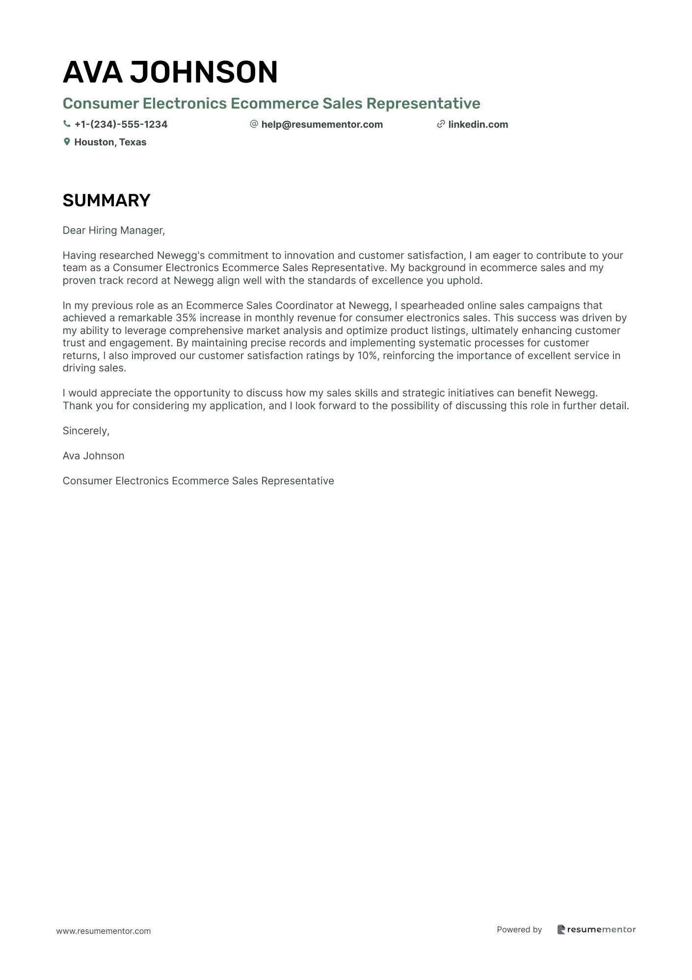 Consumer Electronics Ecommerce Sales Representative