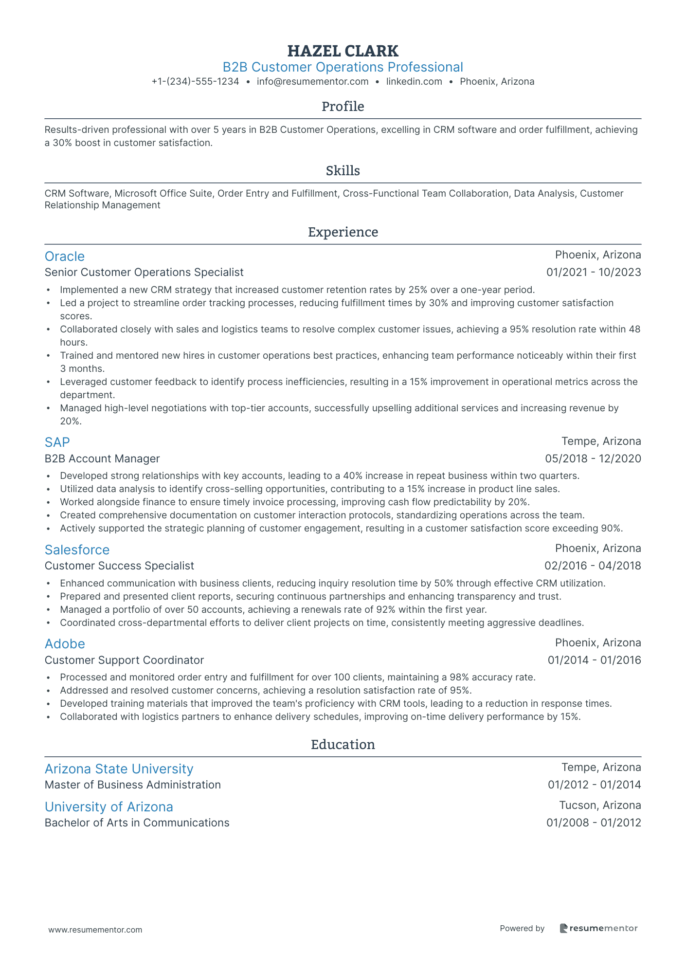 B2B Customer Operations Professional