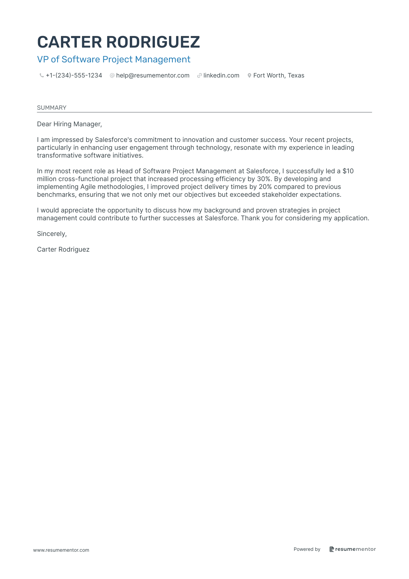 VP of Software Project Management