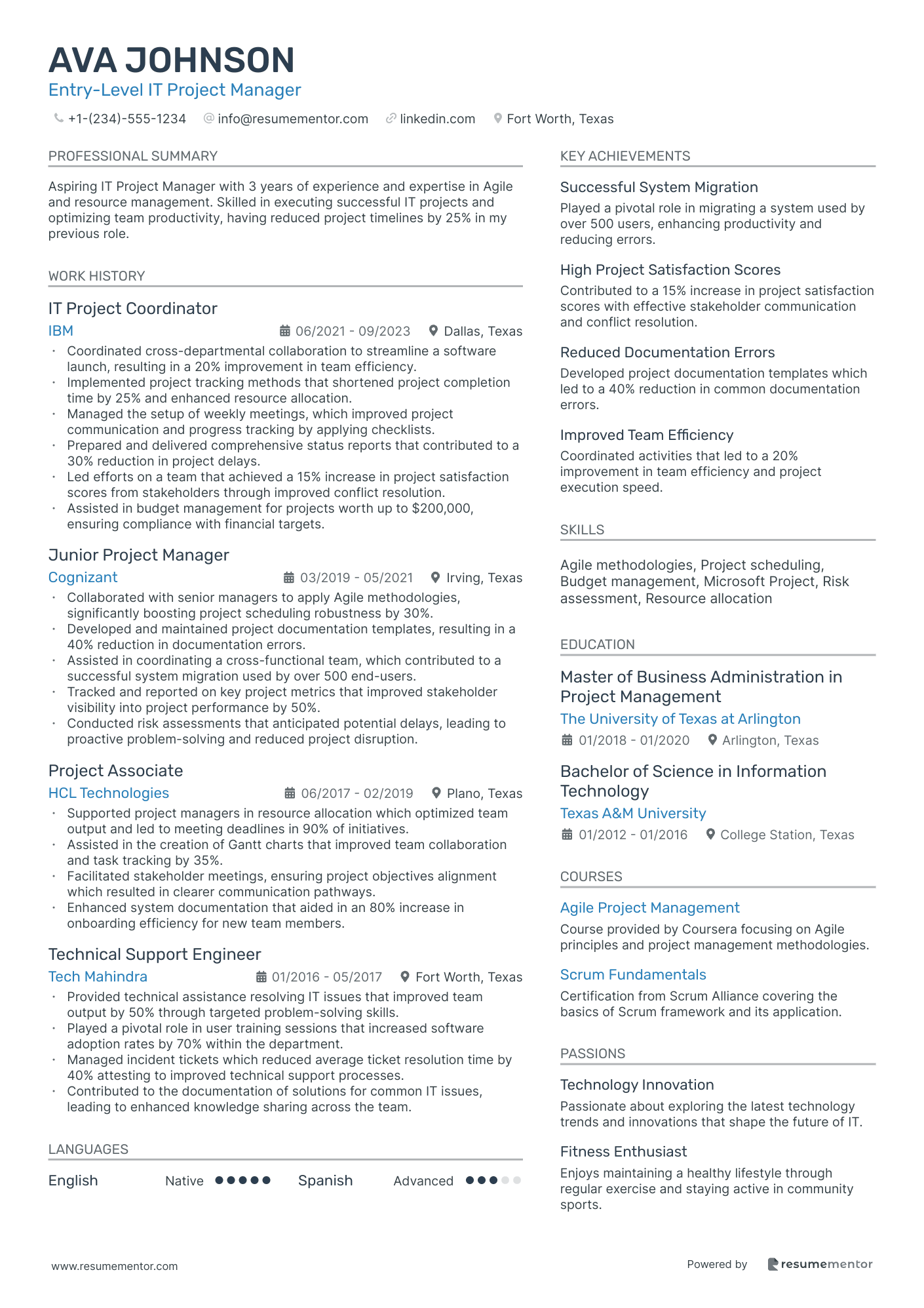 Entry Level IT Project Manager