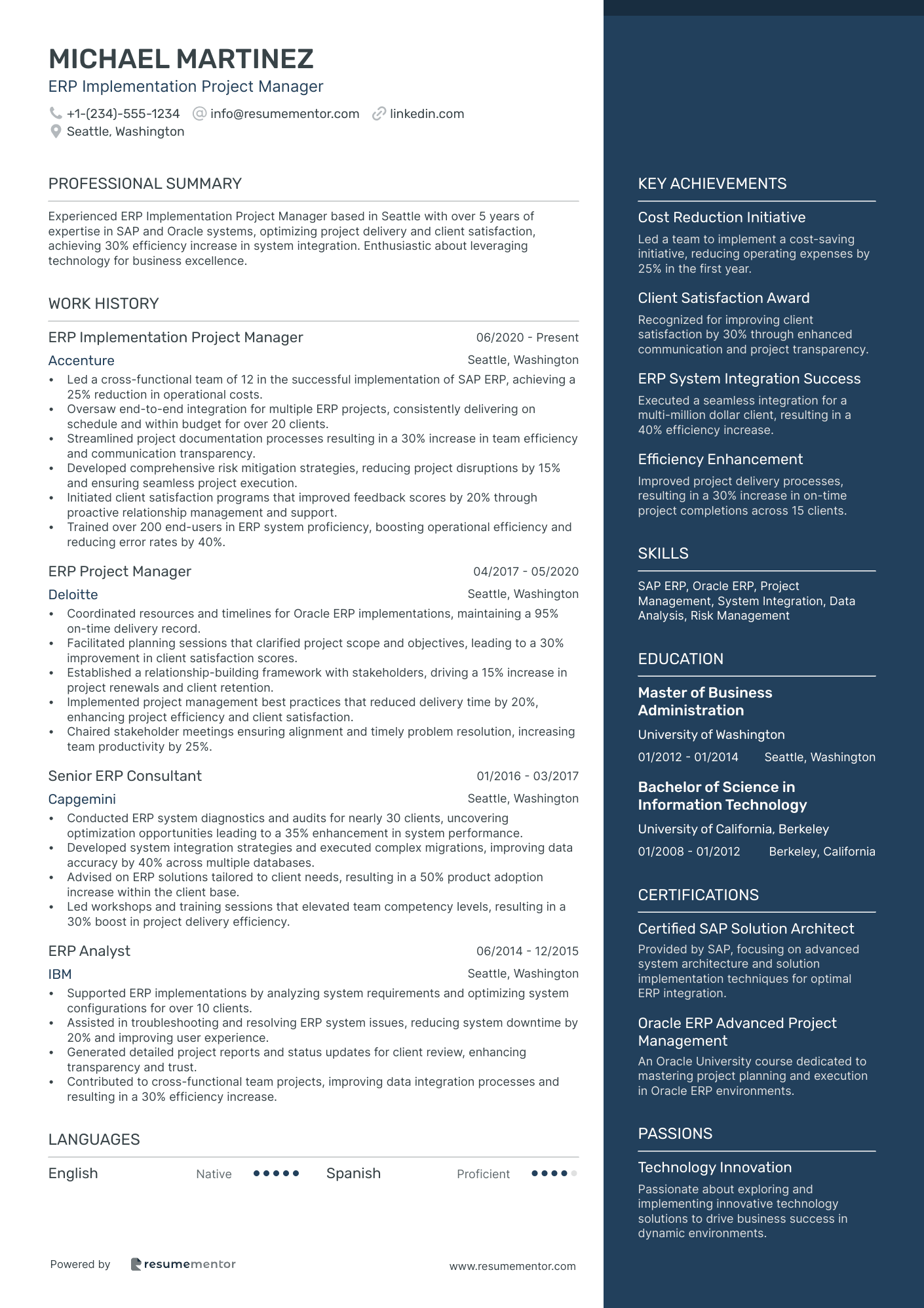 ERP Implementation Project Manager