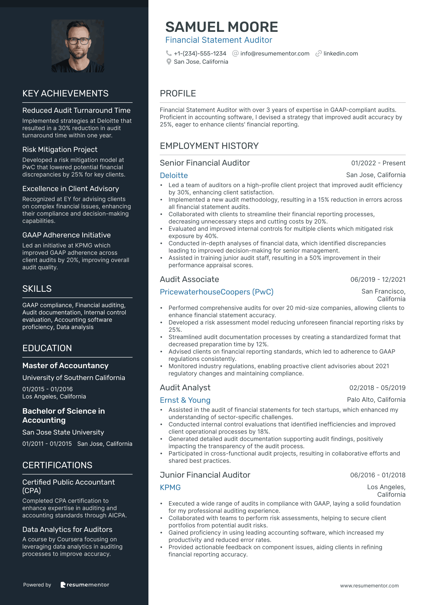 Financial Statement Auditor