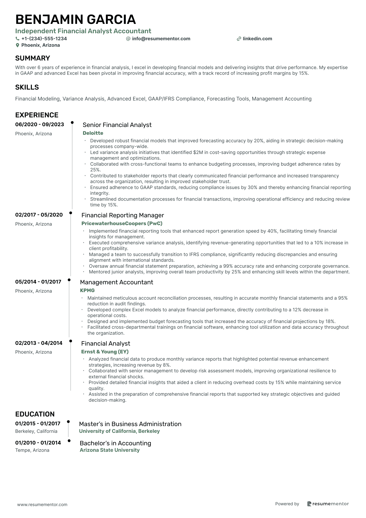 Independent Financial Analyst Accountant