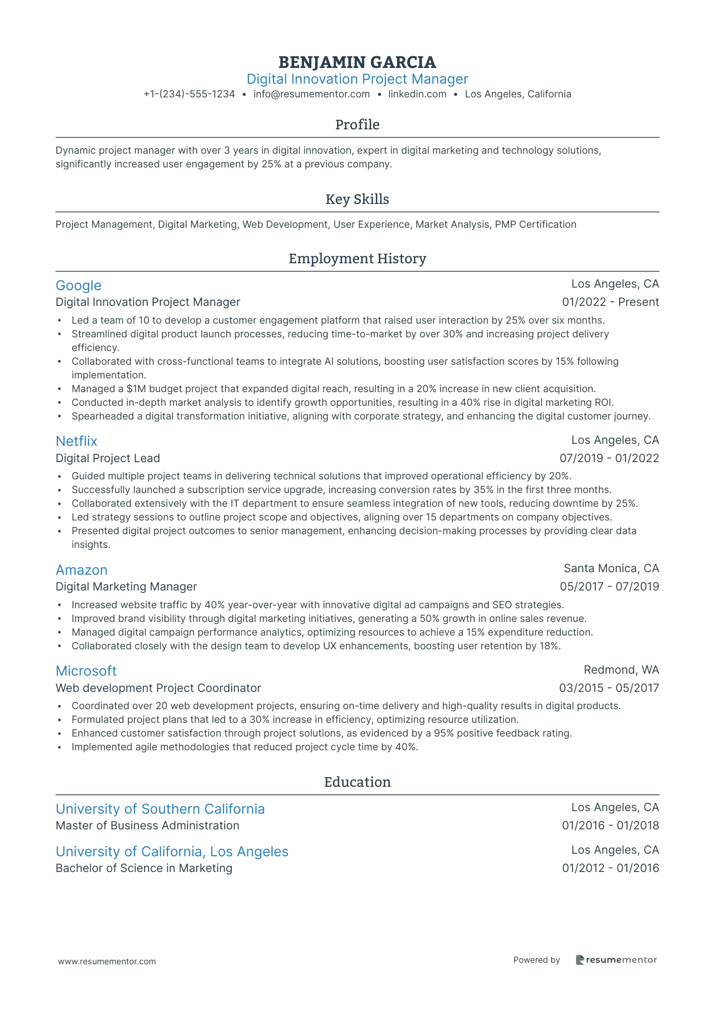 Digital Innovation Project Manager