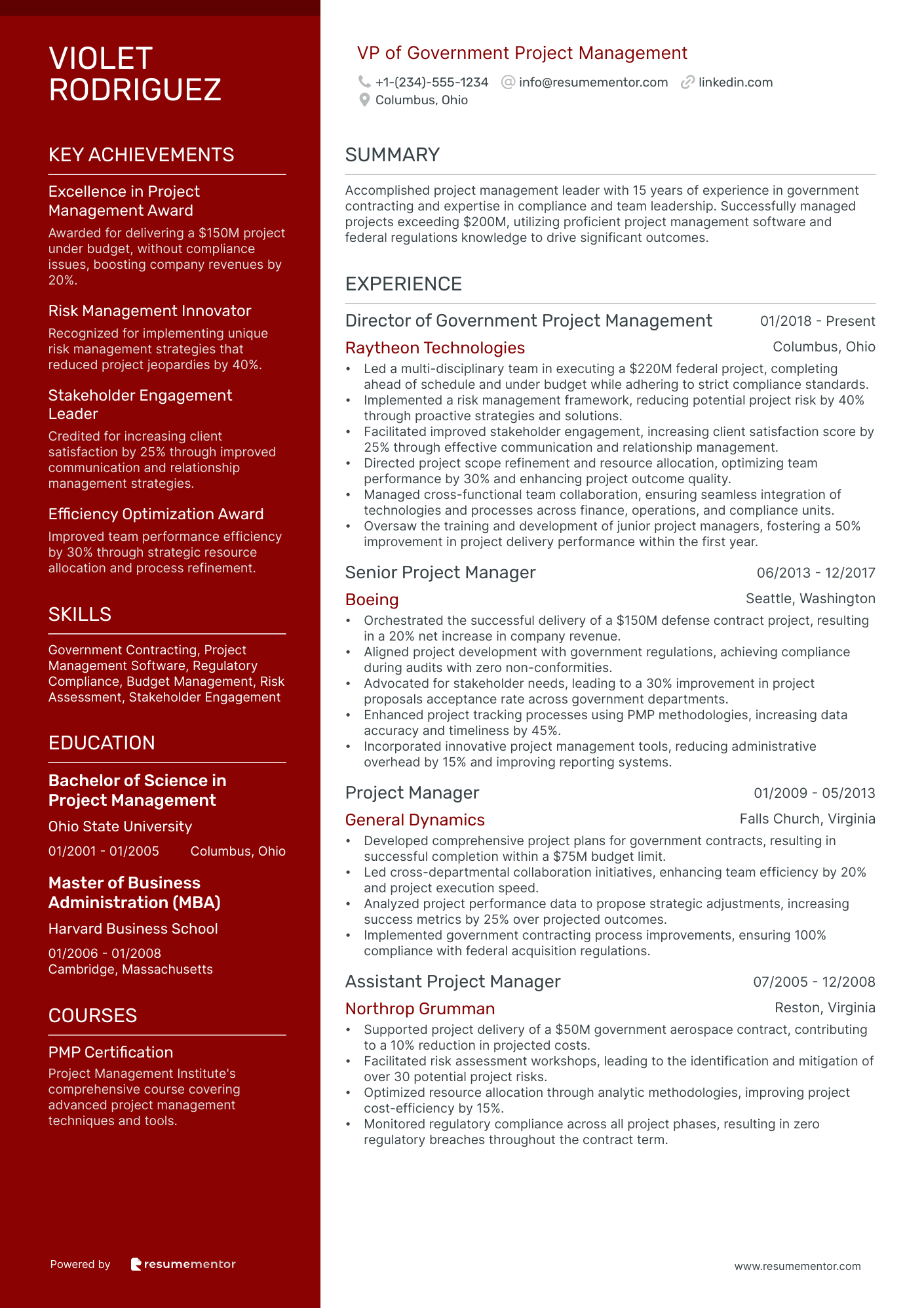VP of Government Project Management