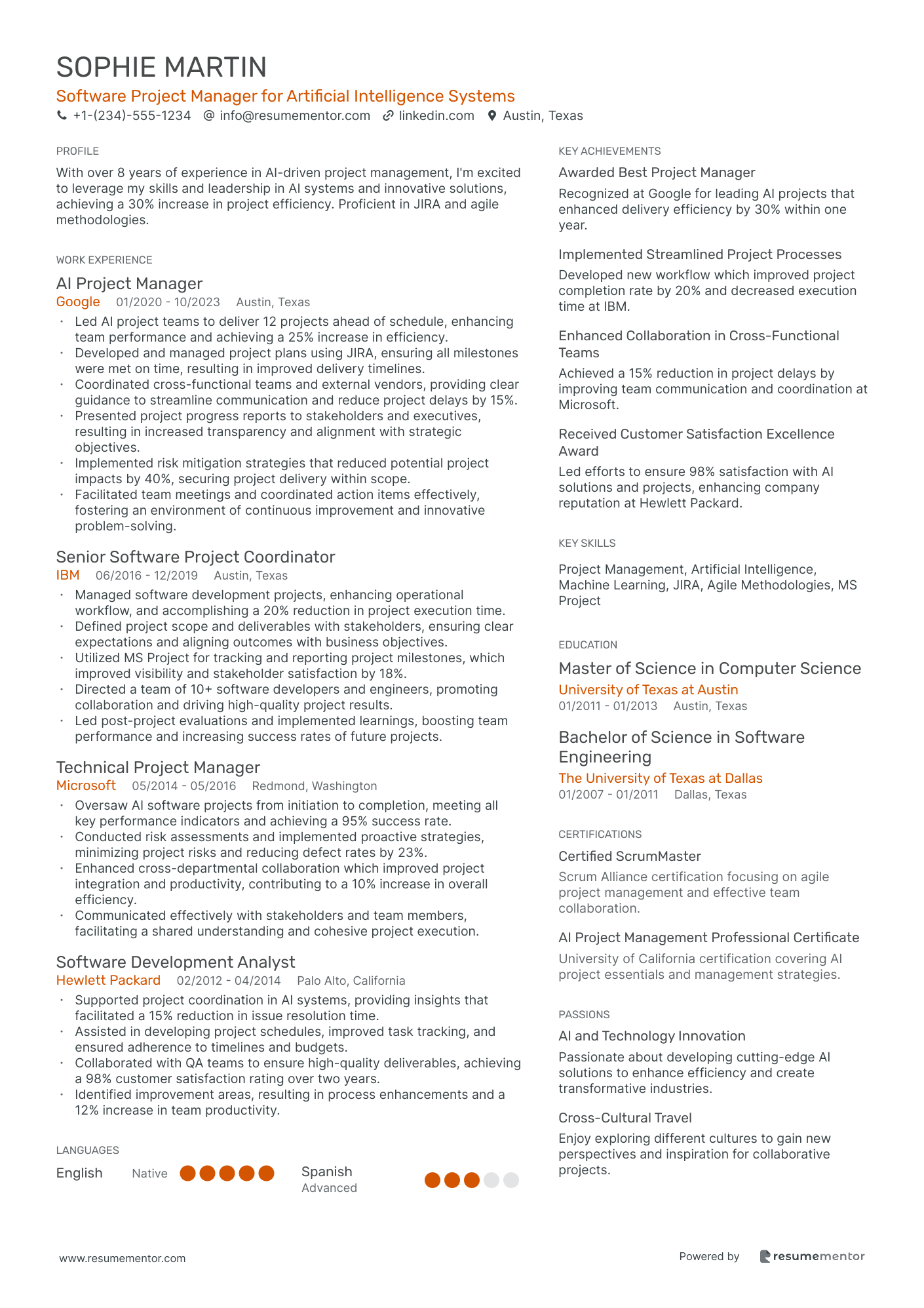 Software Project Manager for Artificial Intelligence Systems