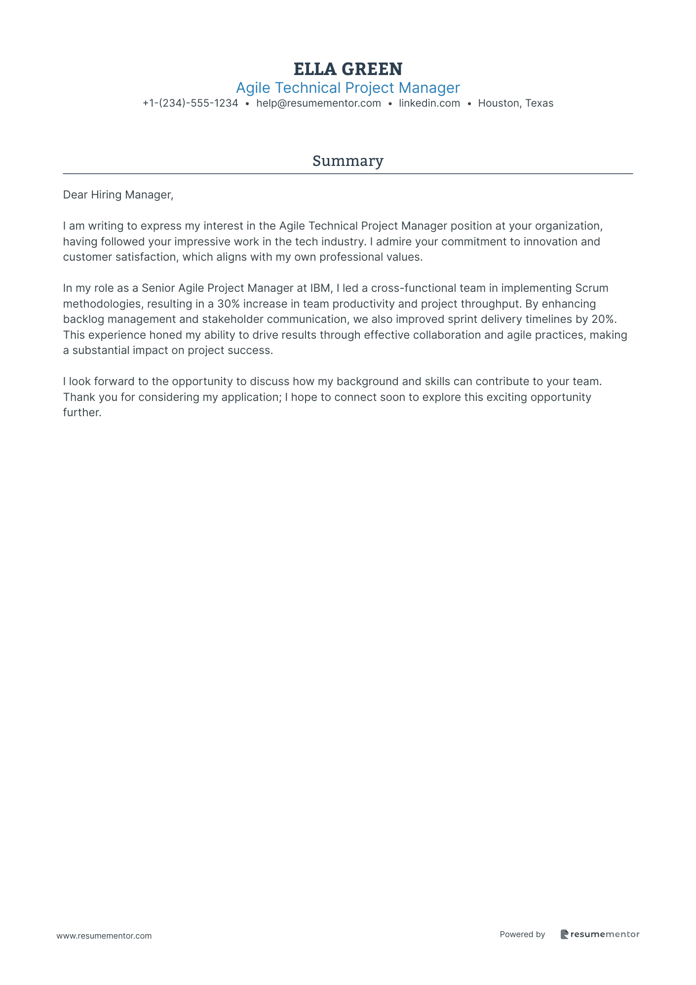 Agile Technical Project Manager