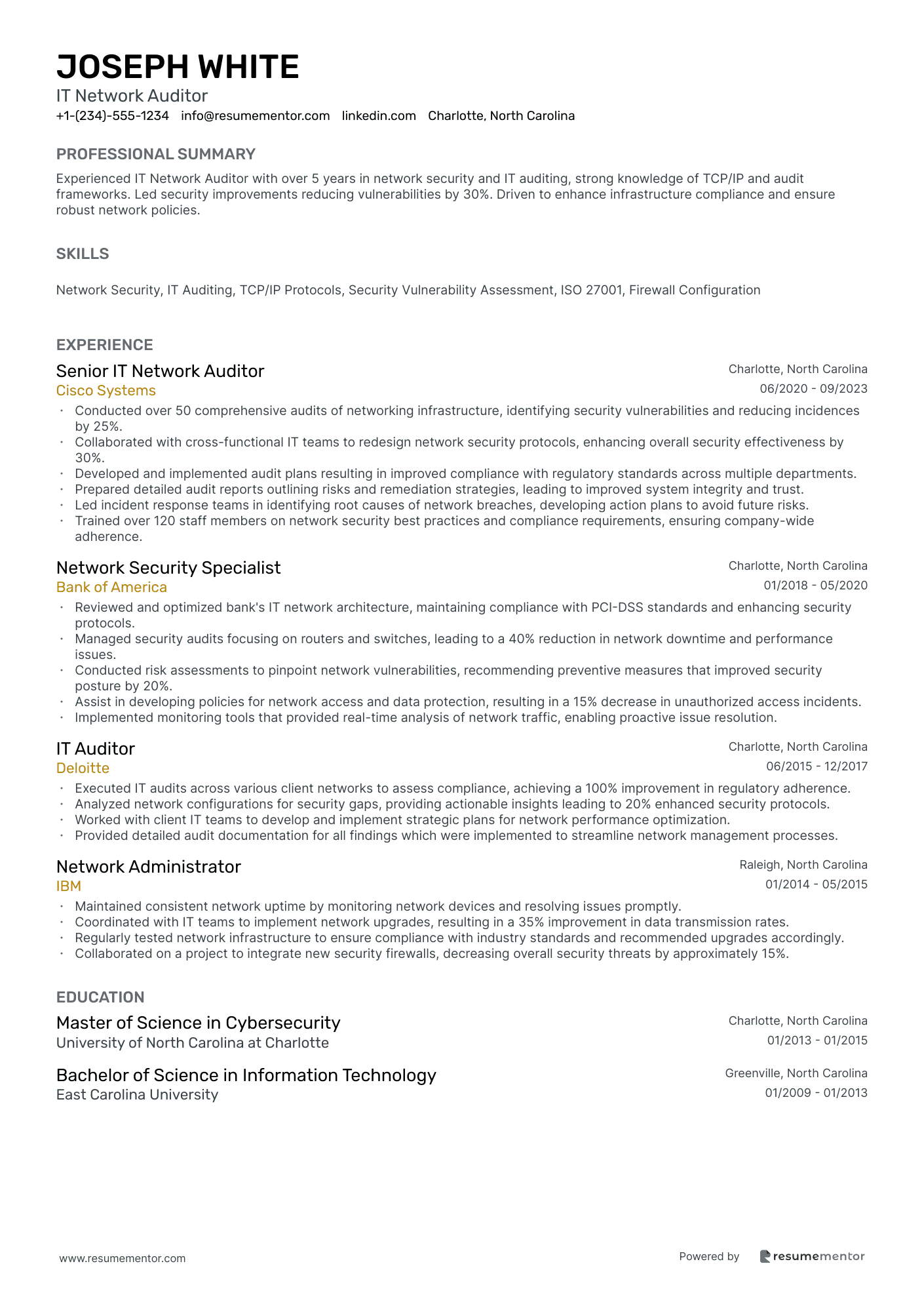 IT Network Auditor
