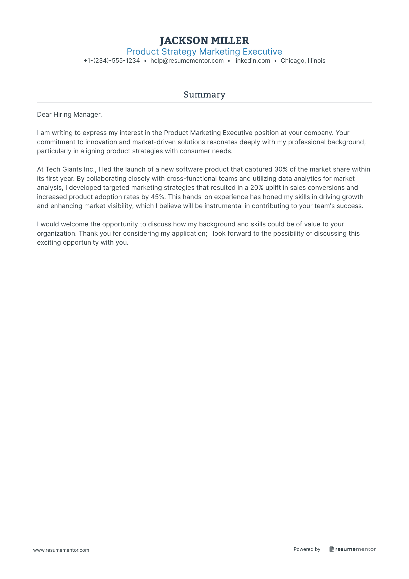 Product Strategy Marketing Executive