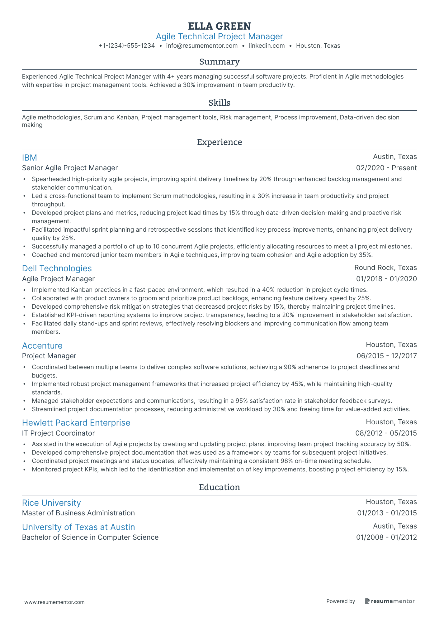 Agile Technical Project Manager