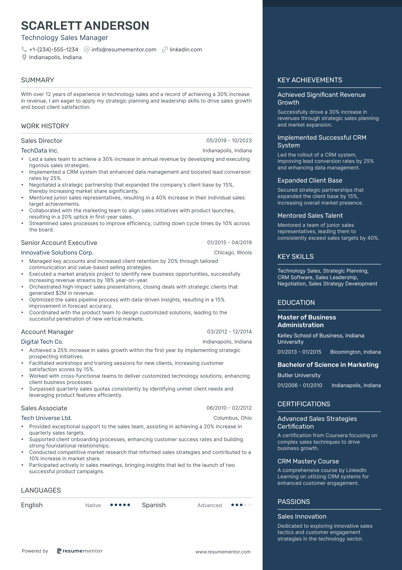 Technology Sales Manager