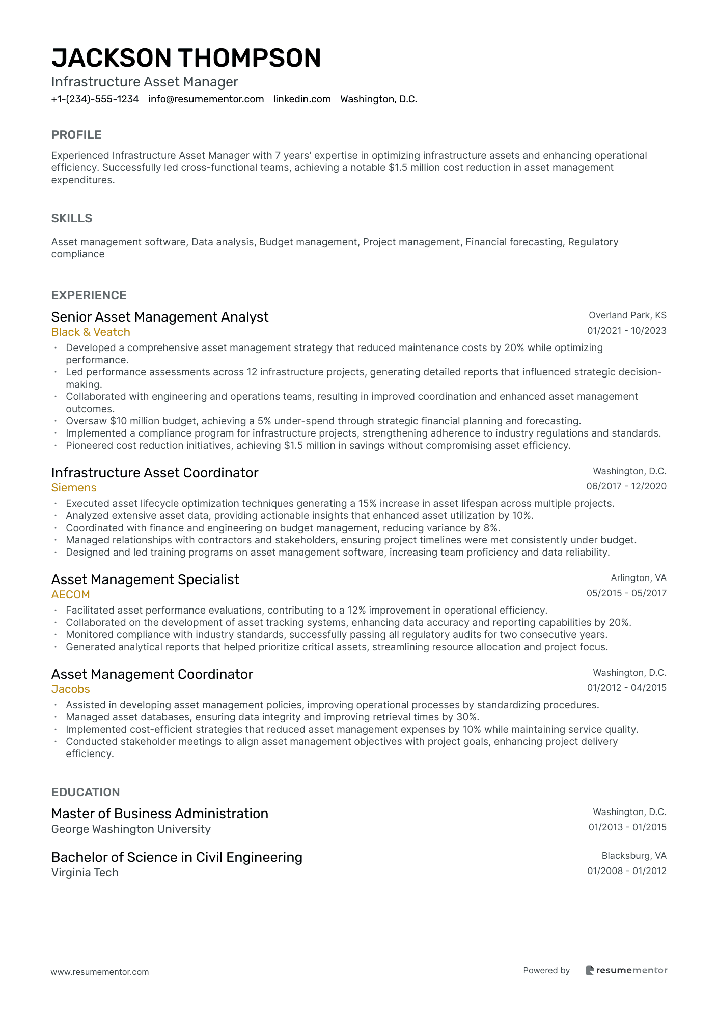 Infrastructure Asset Manager