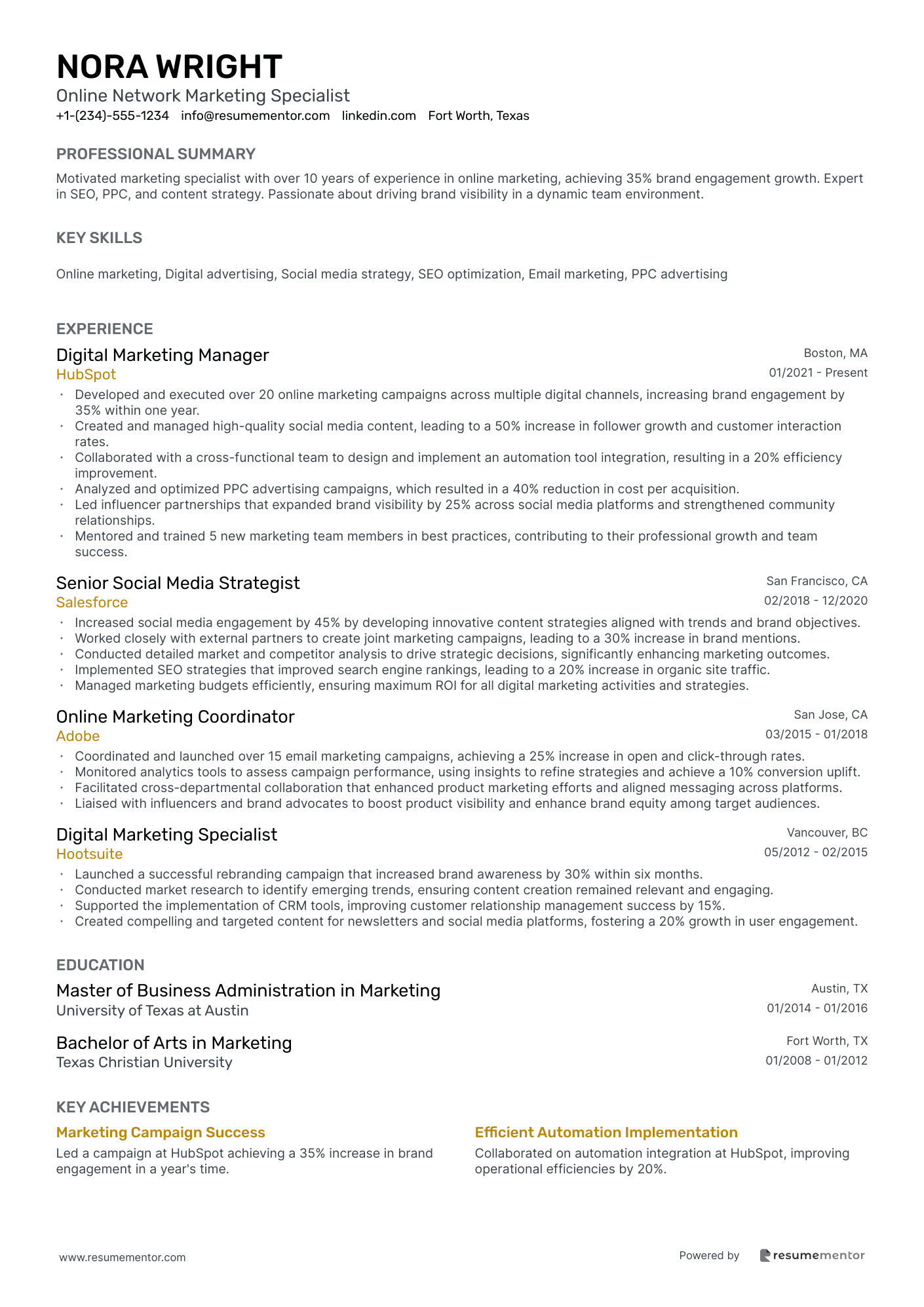 Online Network Marketing Specialist