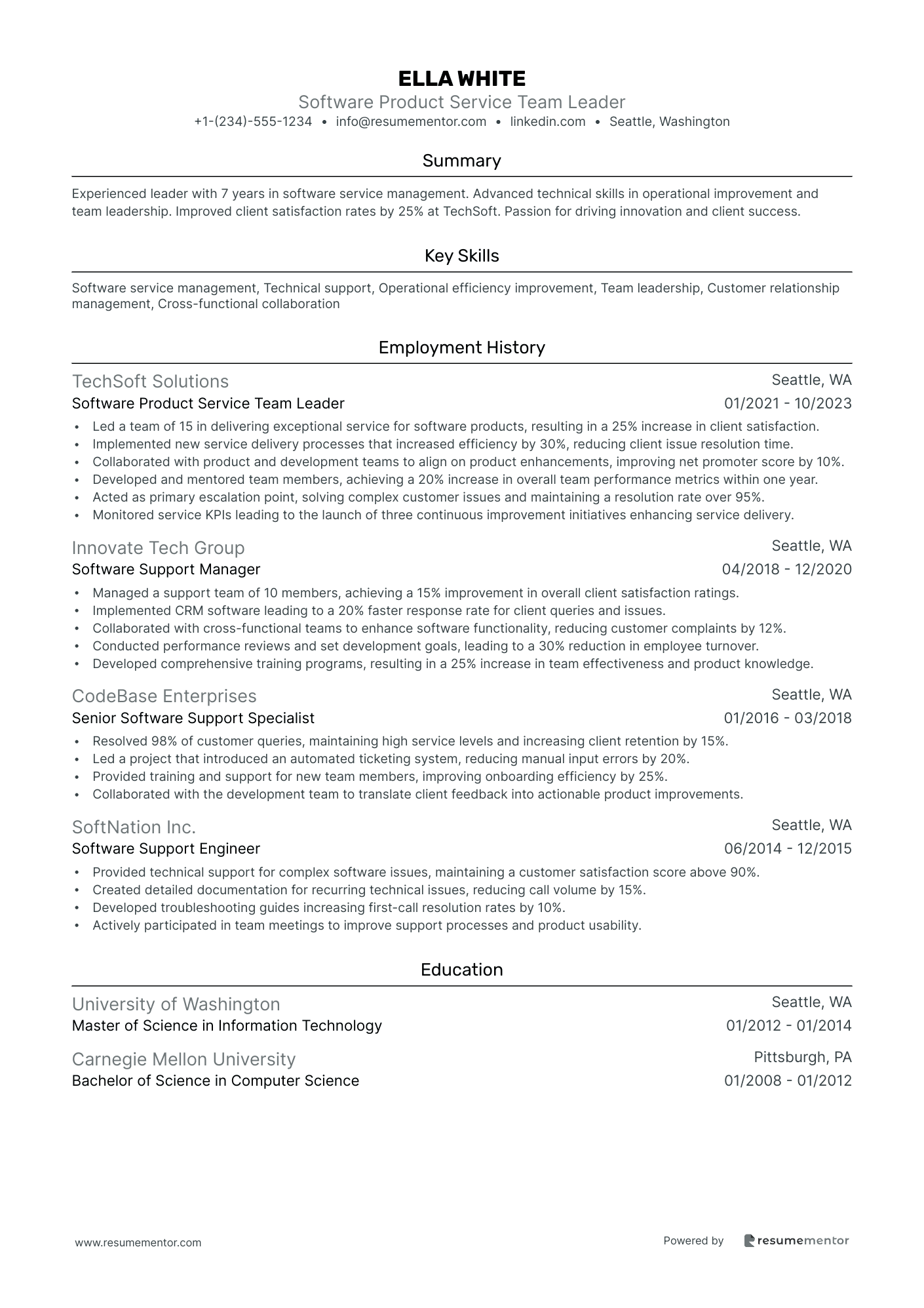 Software Product Service Team Leader