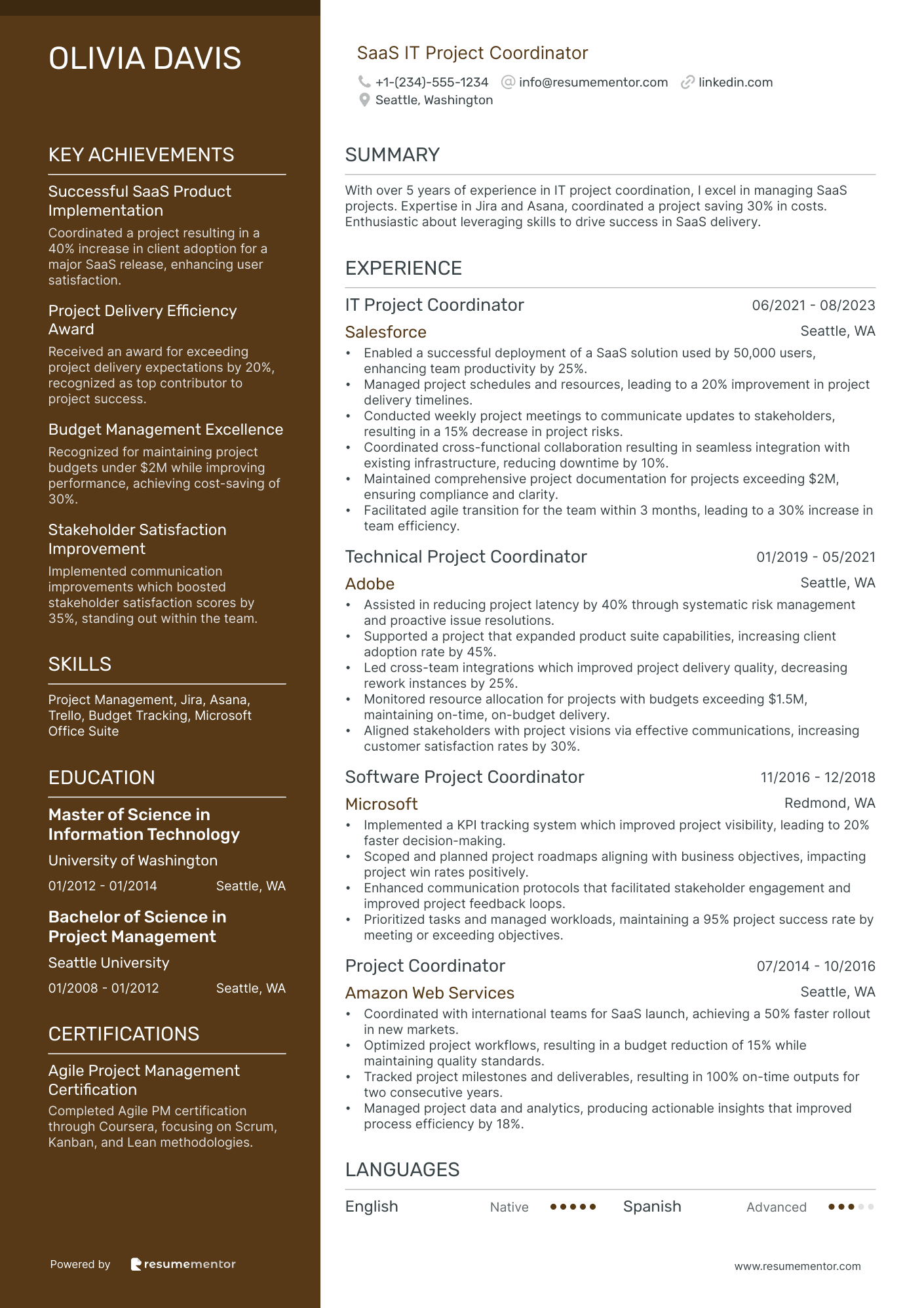 SaaS IT Project Coordinator