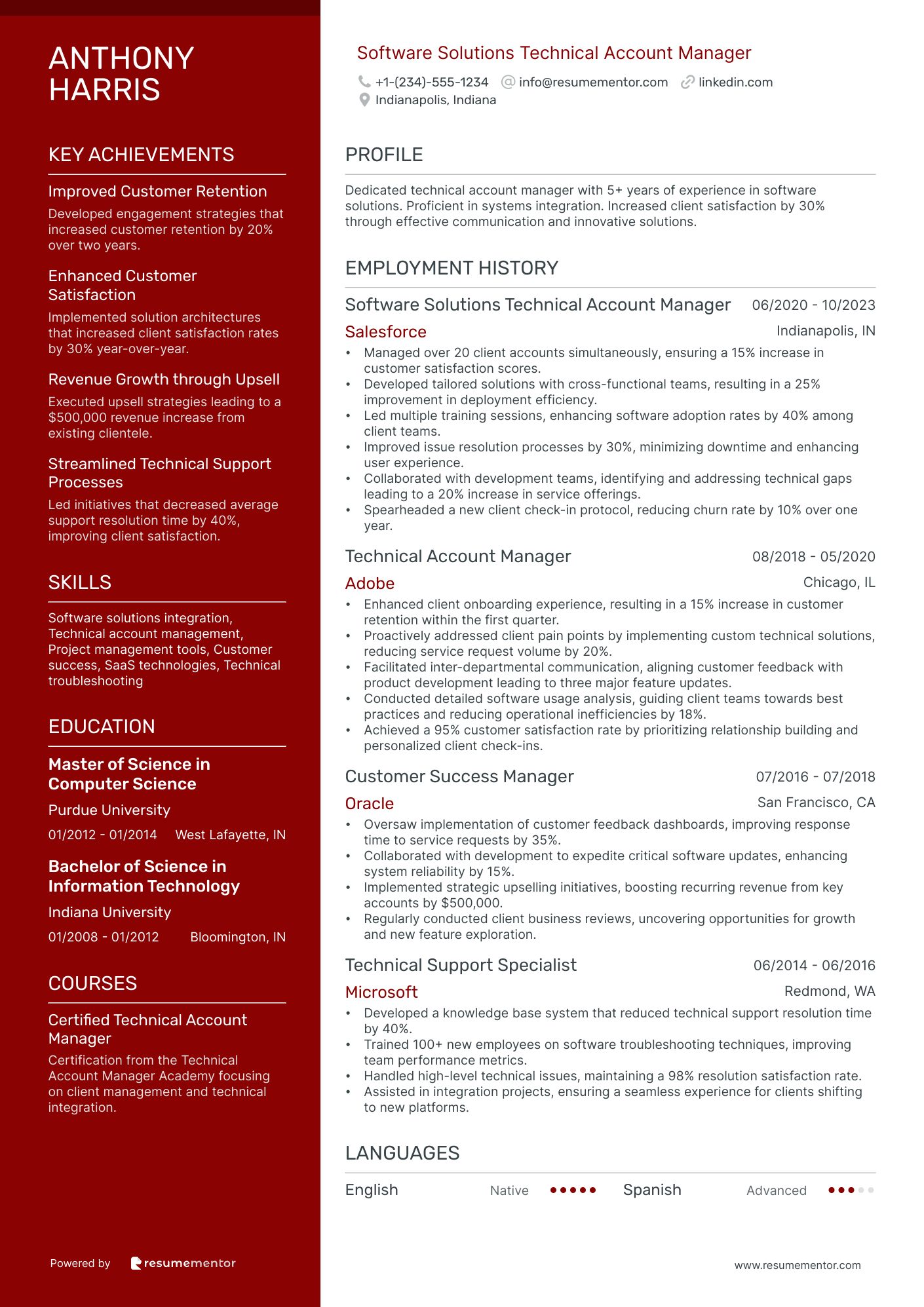 Software Solutions Technical Account Manager