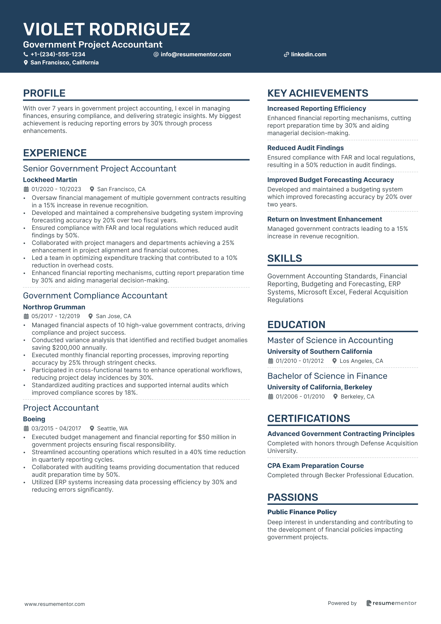 Government Project Accountant