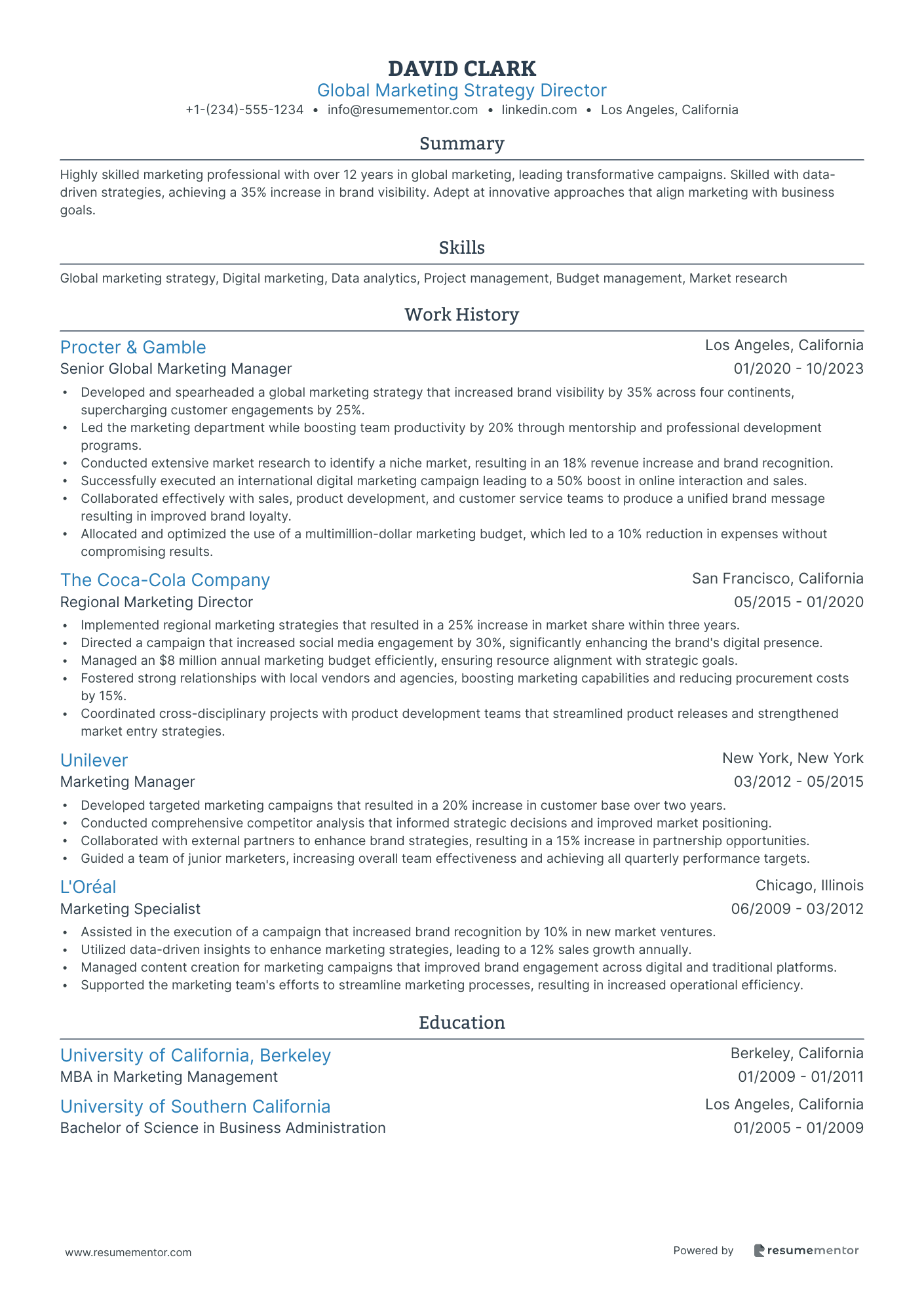 Global Marketing Strategy Director