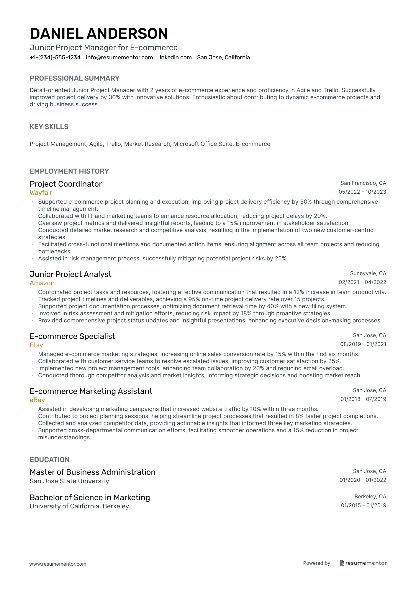 Junior Project Manager for E commerce