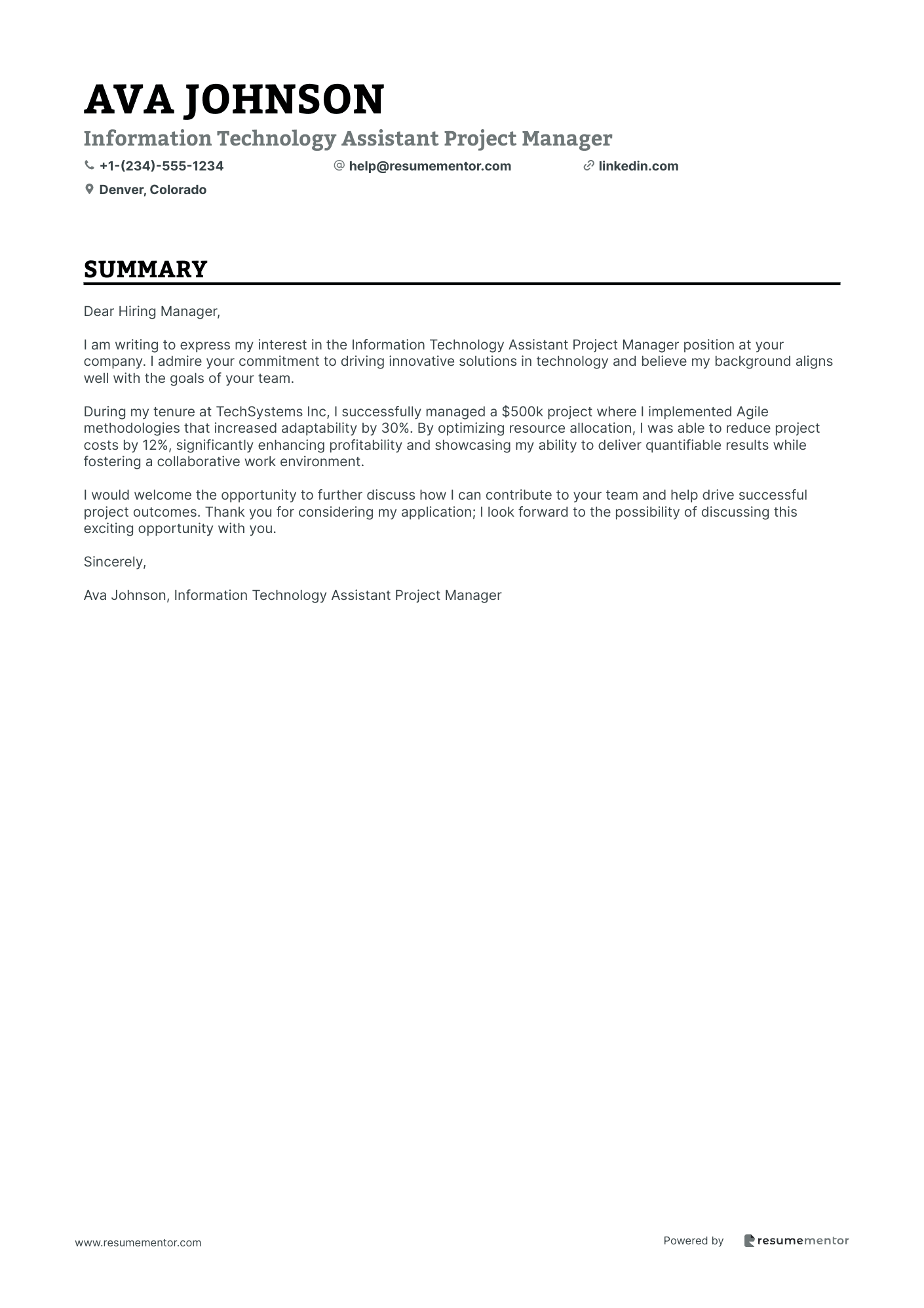Information Technology Assistant Project Manager