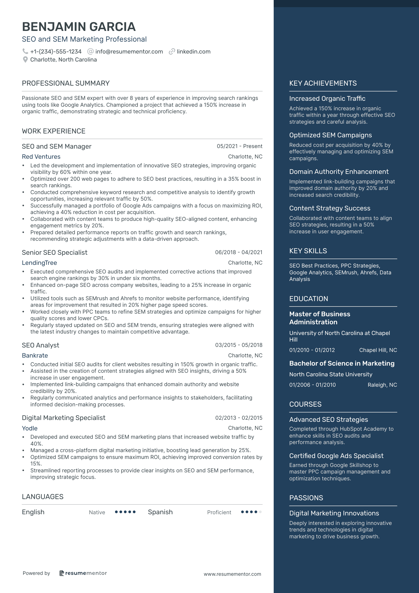 SEO and SEM Marketing Professional