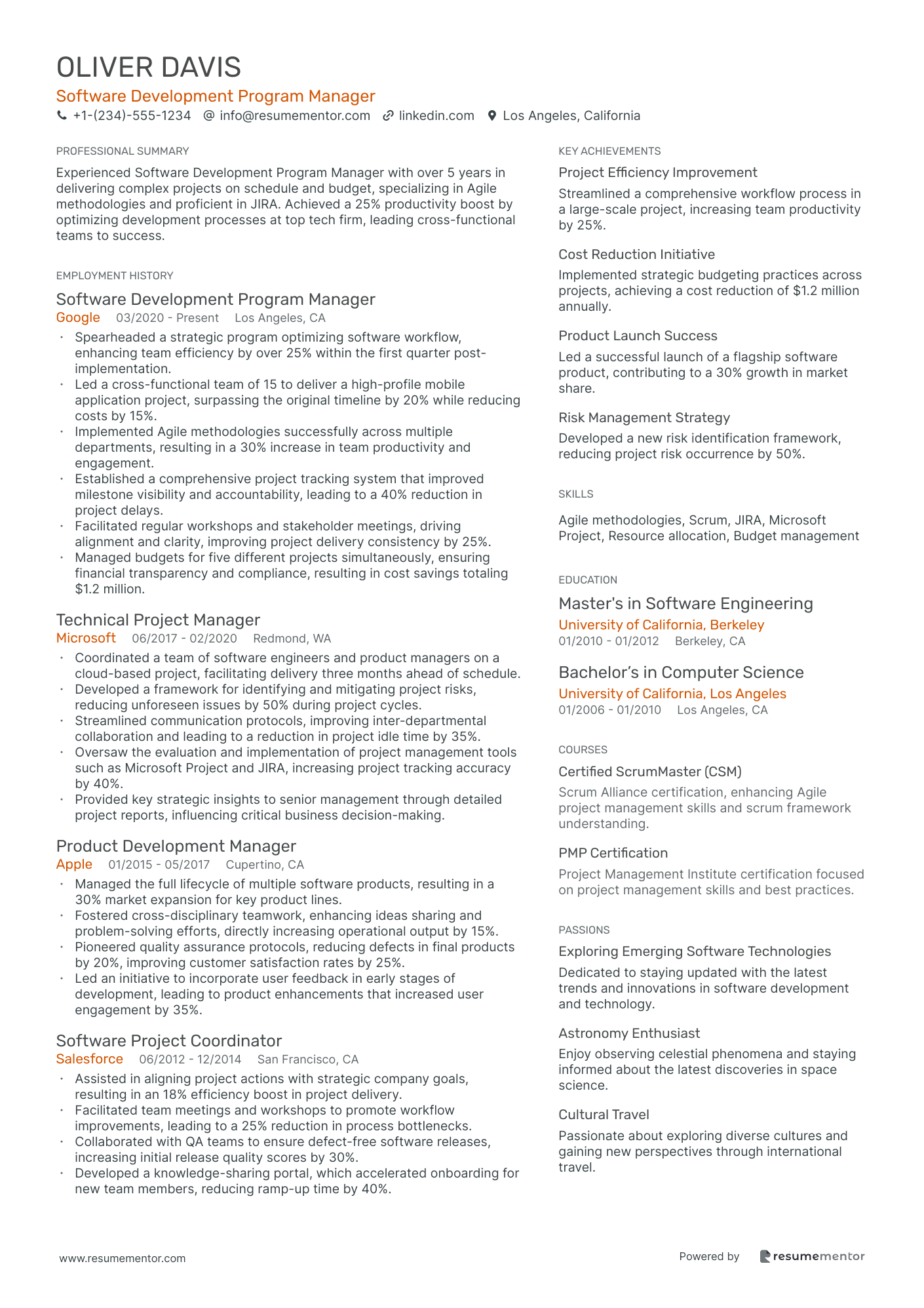 Software Development Program Manager