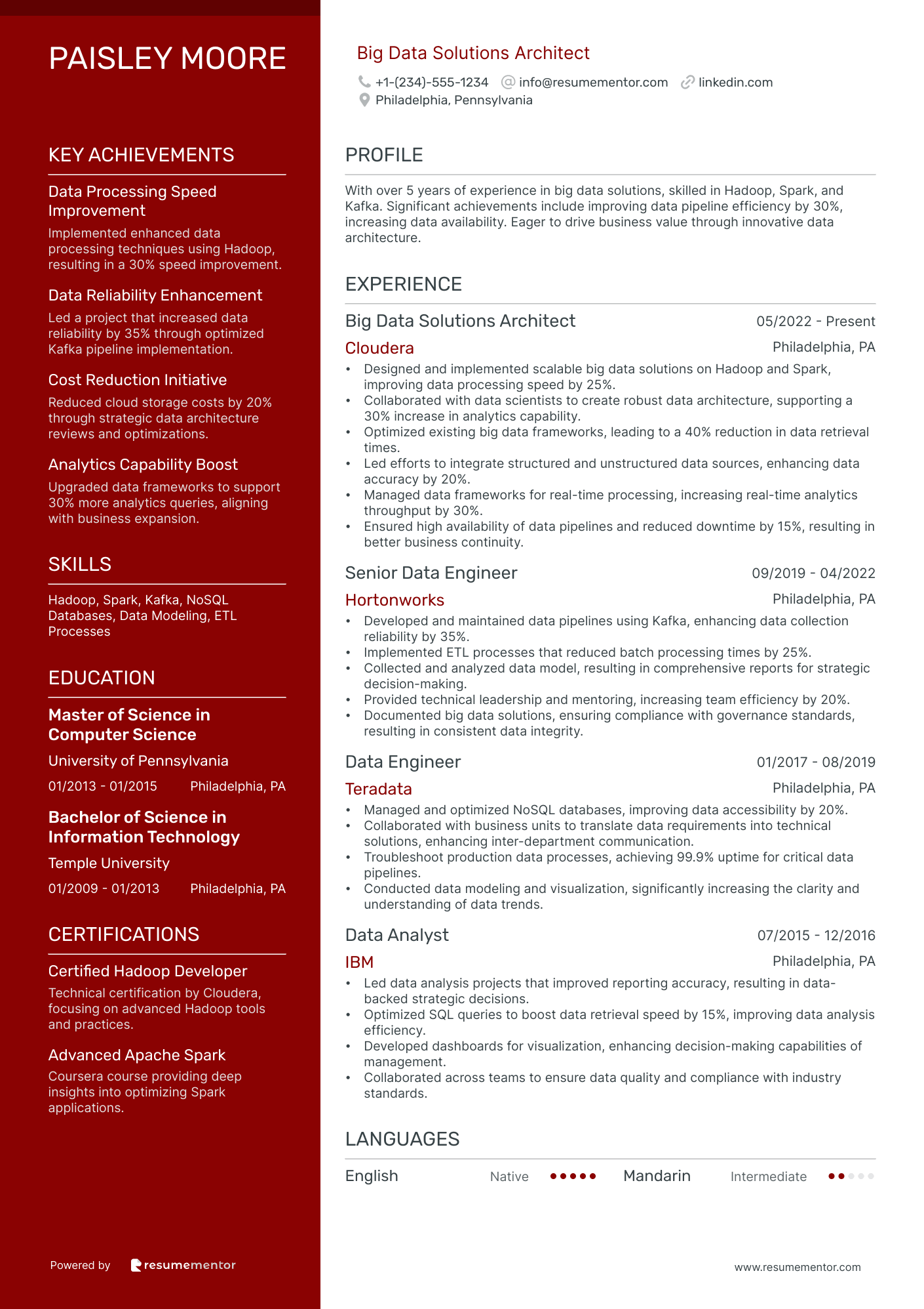 Big Data Solutions Architect