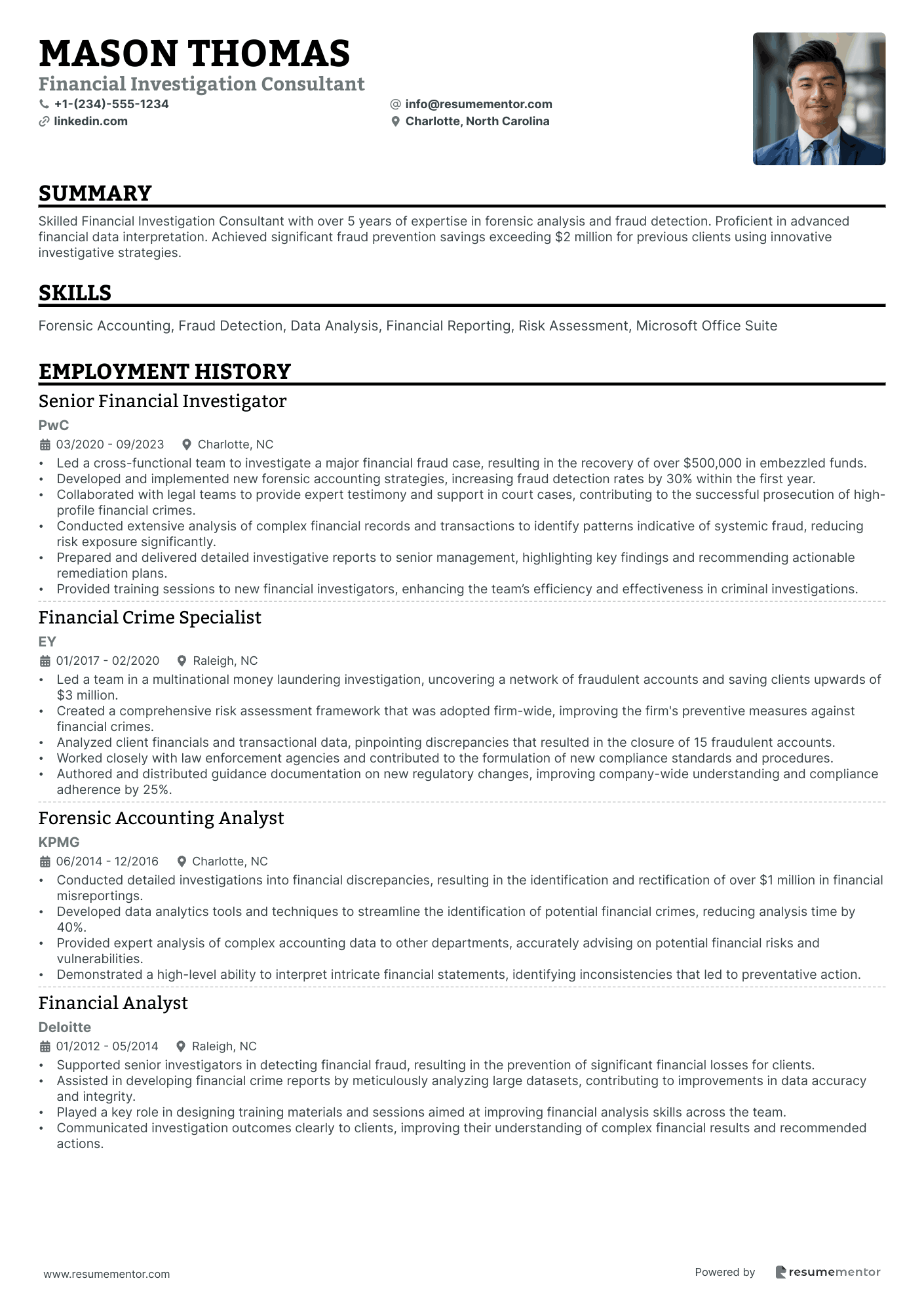 Financial Investigation Consultant