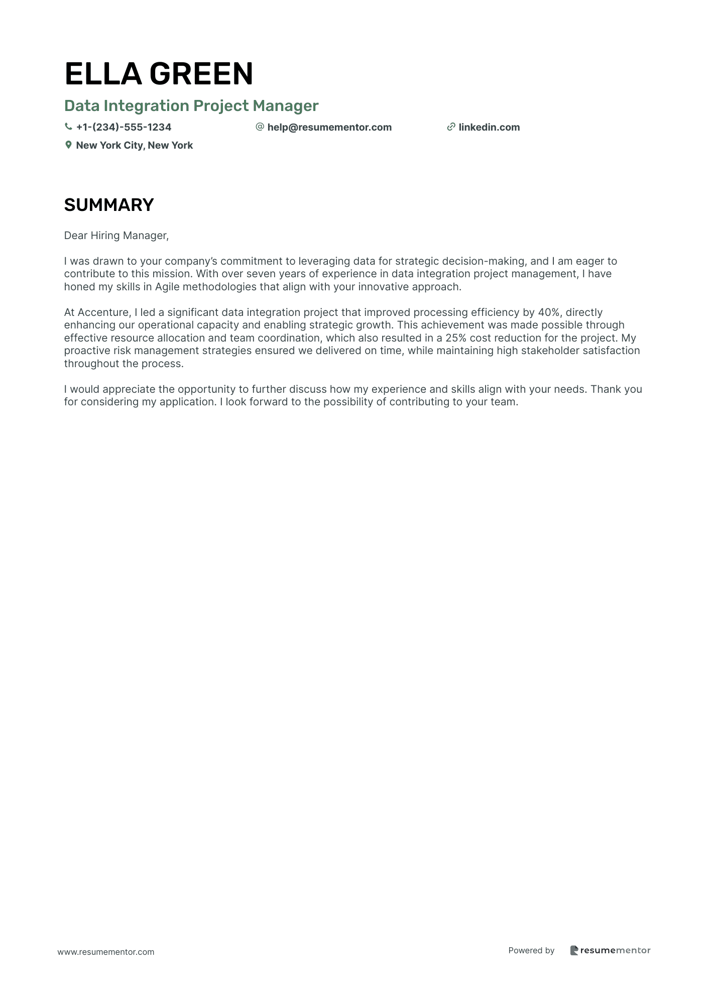 Data Integration Project Manager