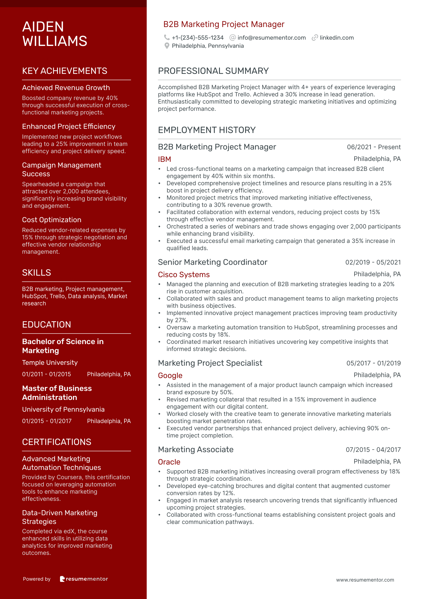 B2B Marketing Project Manager
