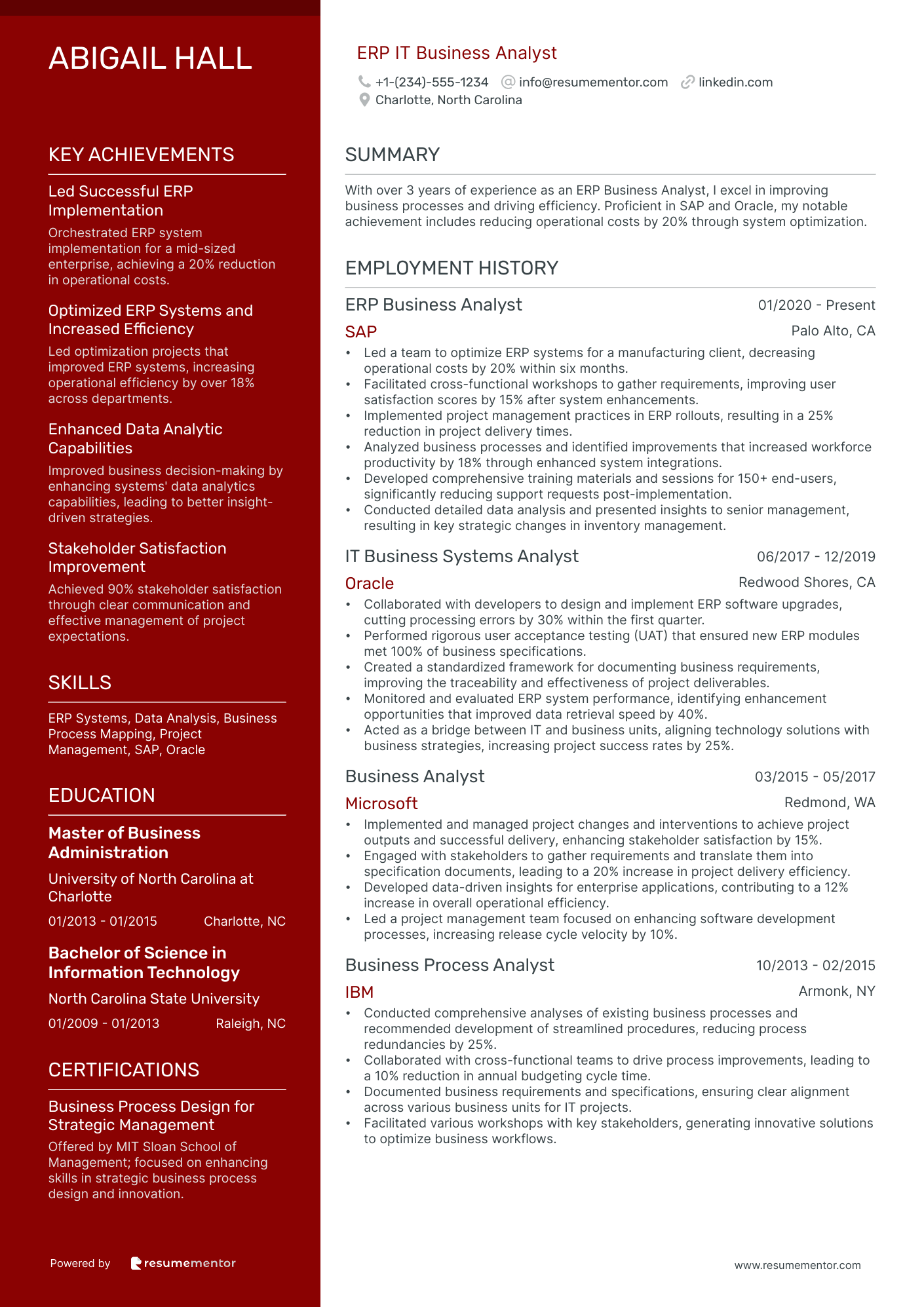 ERP IT Business Analyst