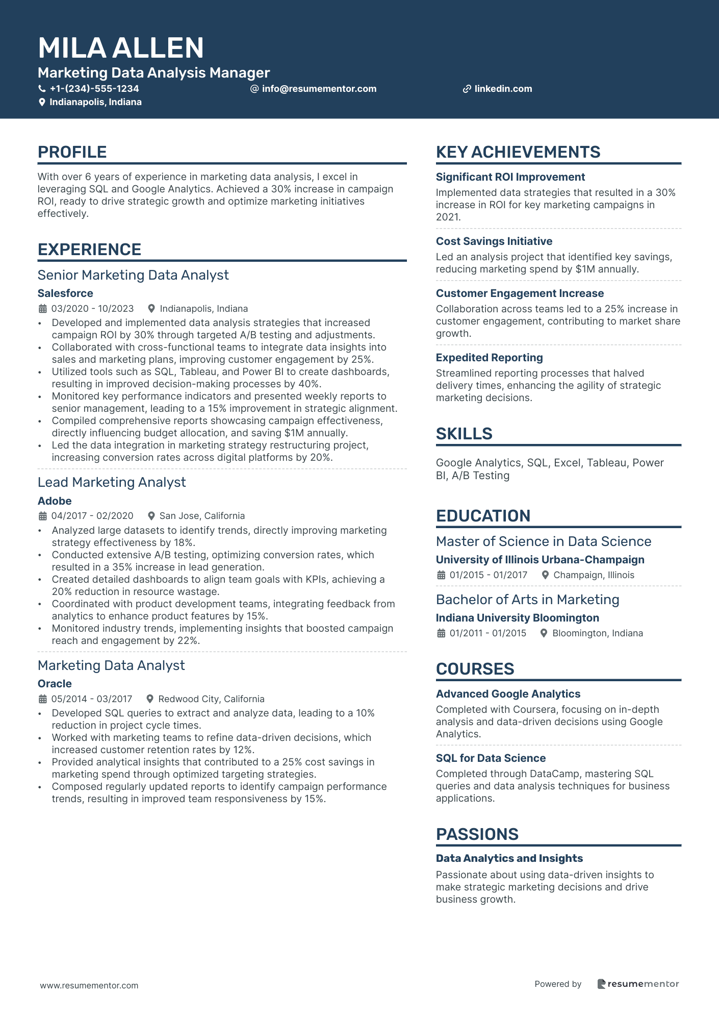 Marketing Data Analysis Manager