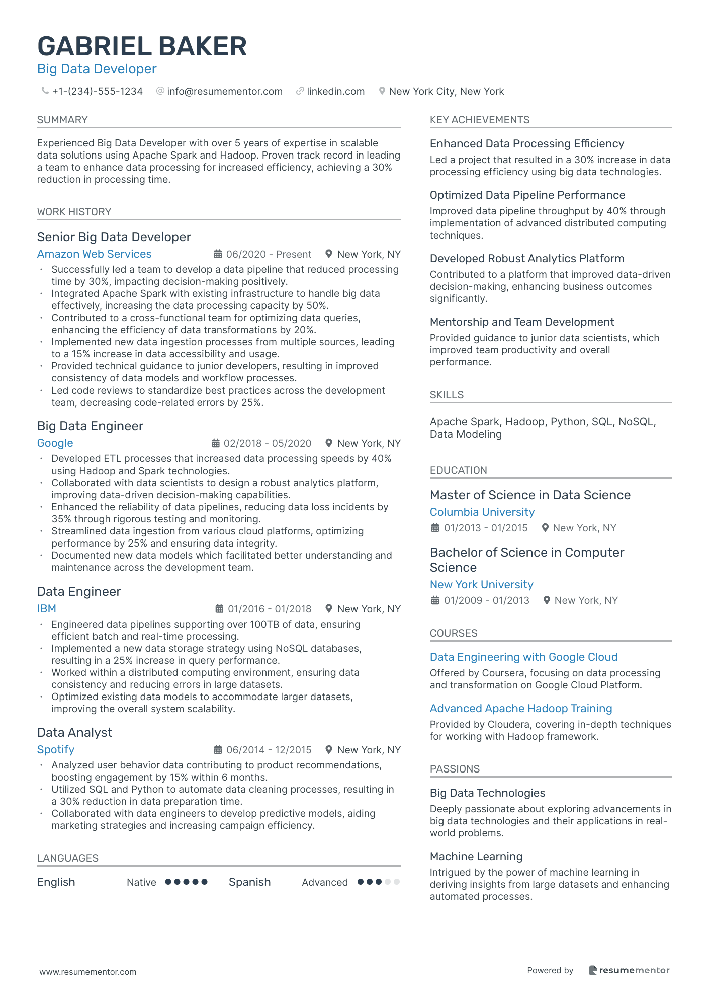 Big Data Developer