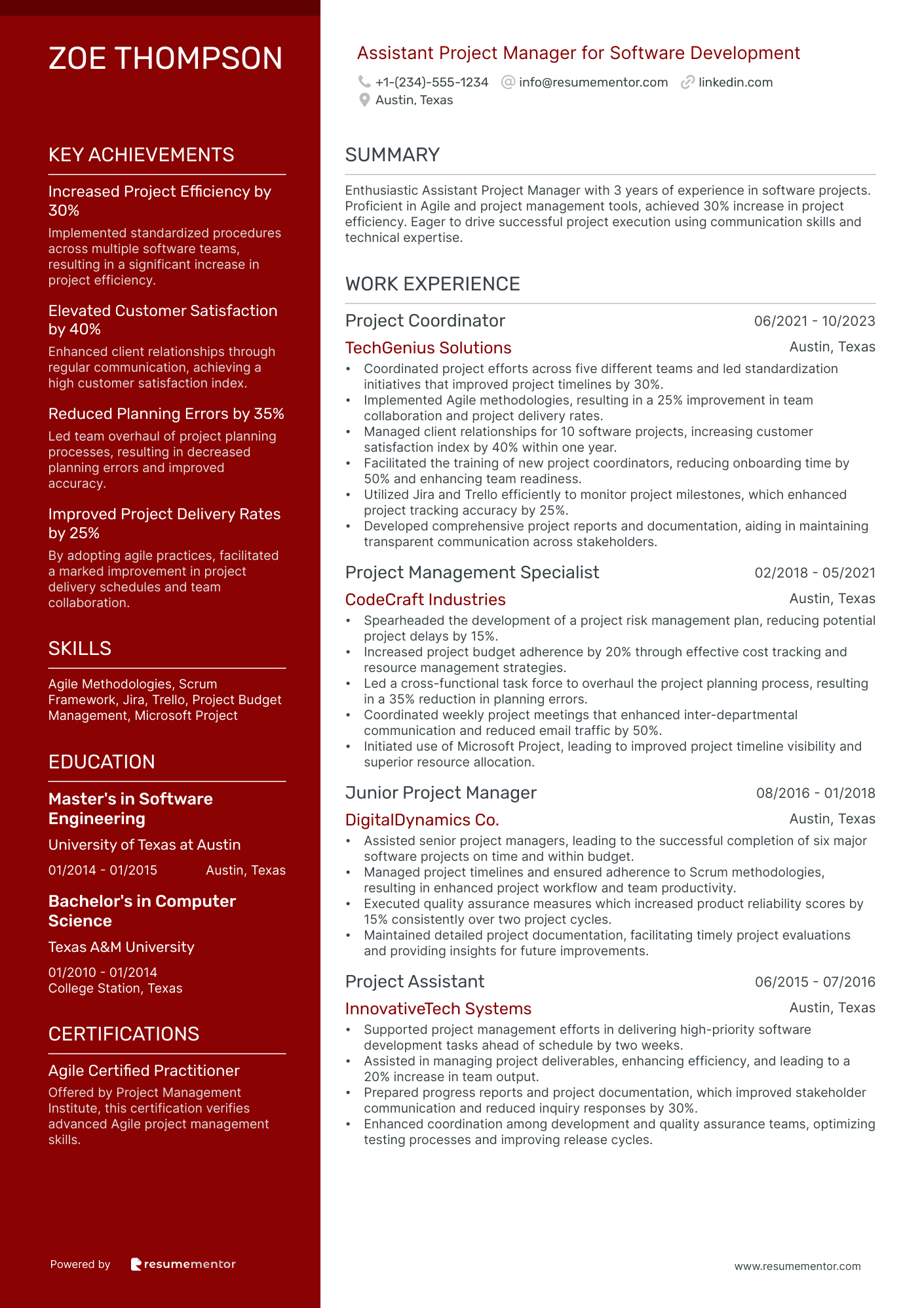 Assistant Project Manager for Software Development