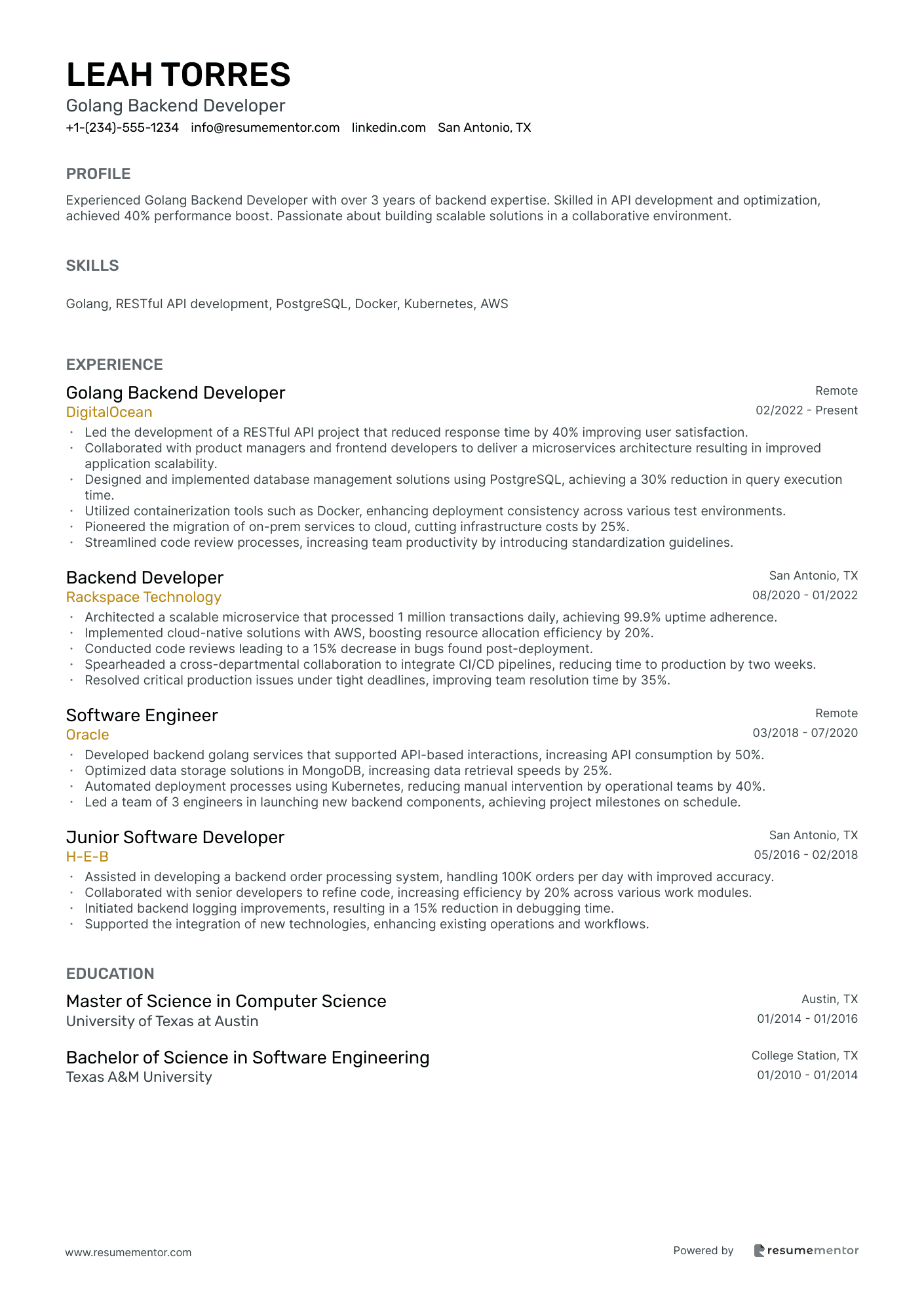 Golang Backend Developer