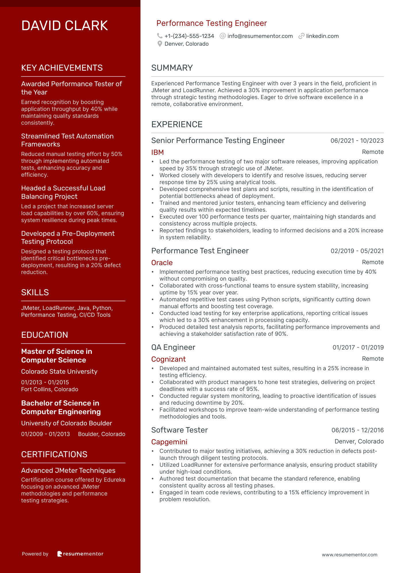 Performance Testing Engineer