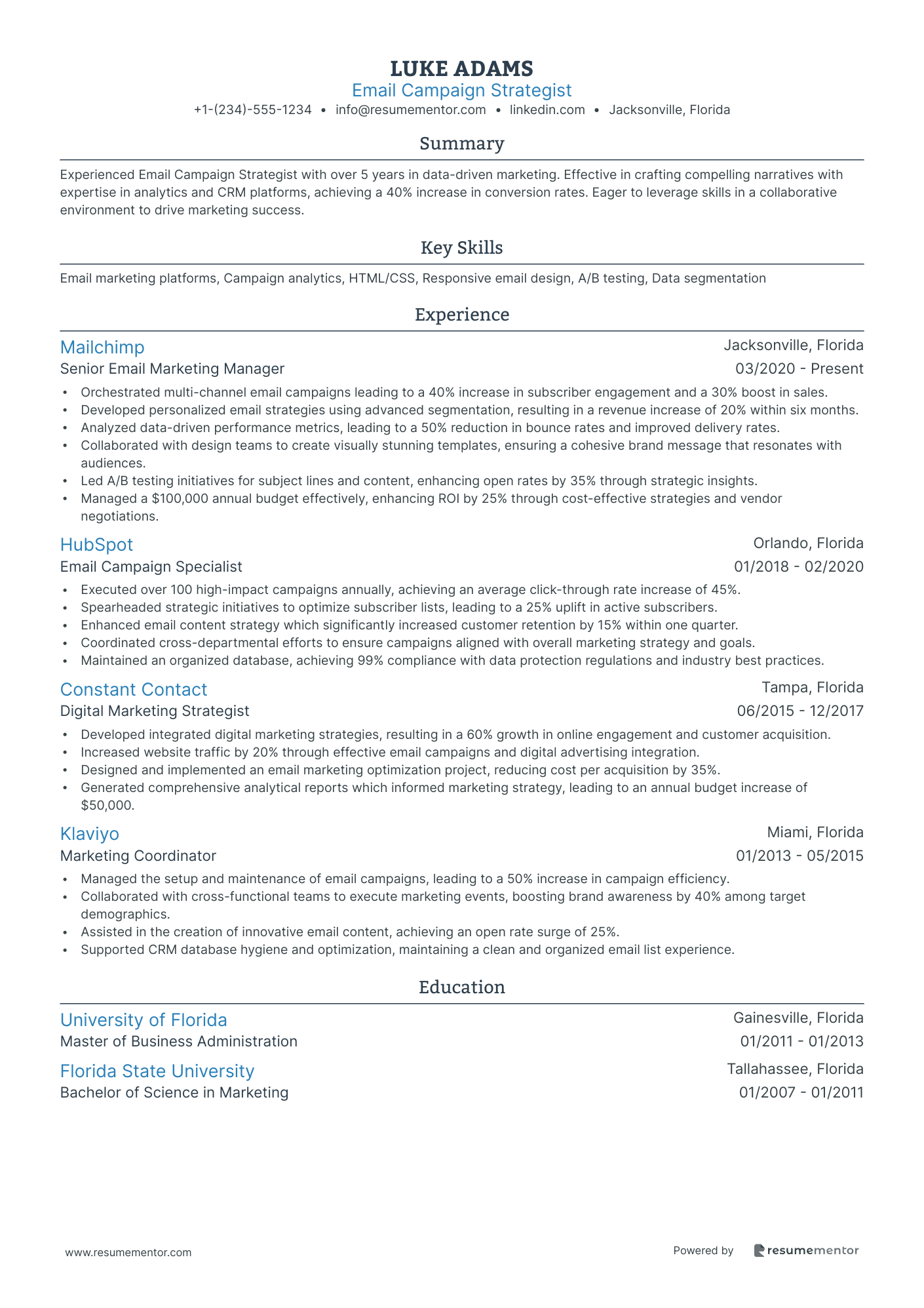 Email Campaign Strategist