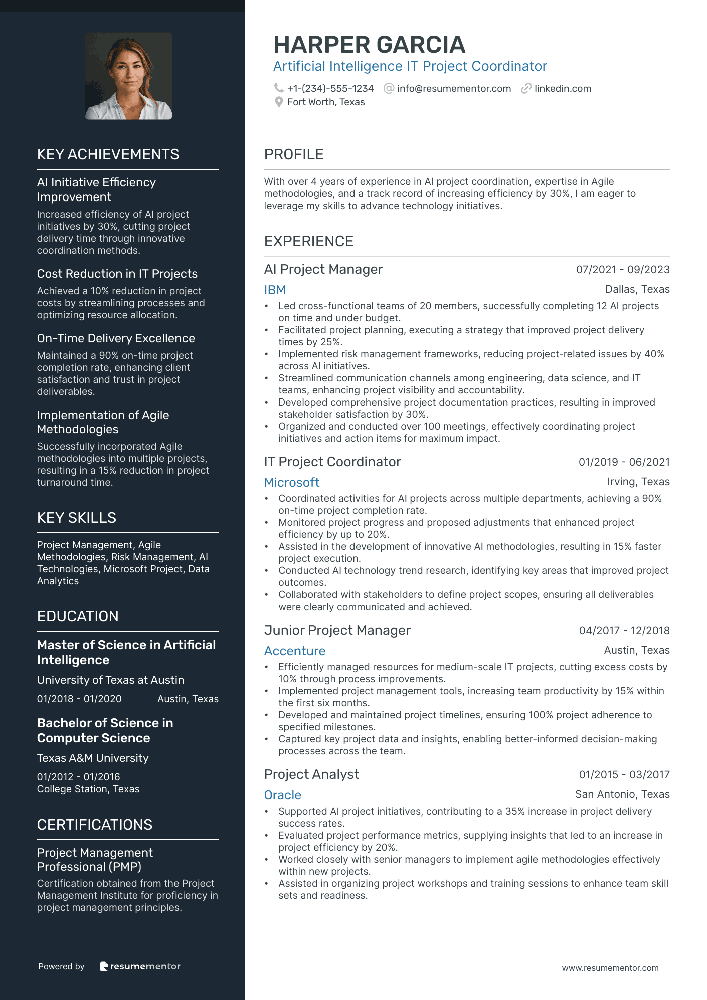 Artificial Intelligence IT Project Coordinator