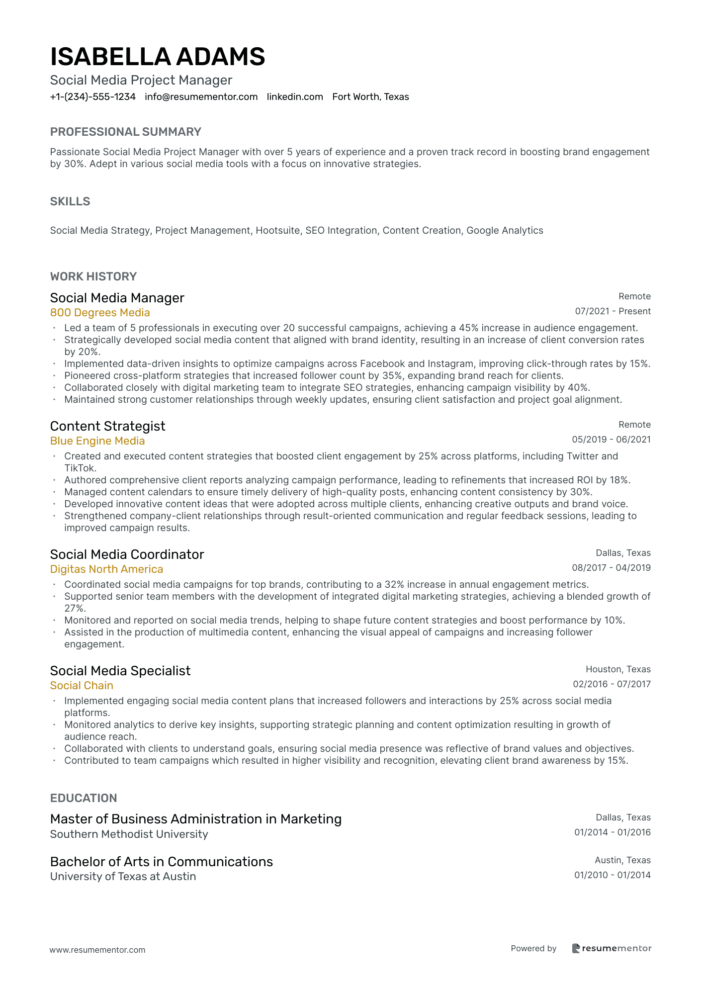 Social Media Project Manager
