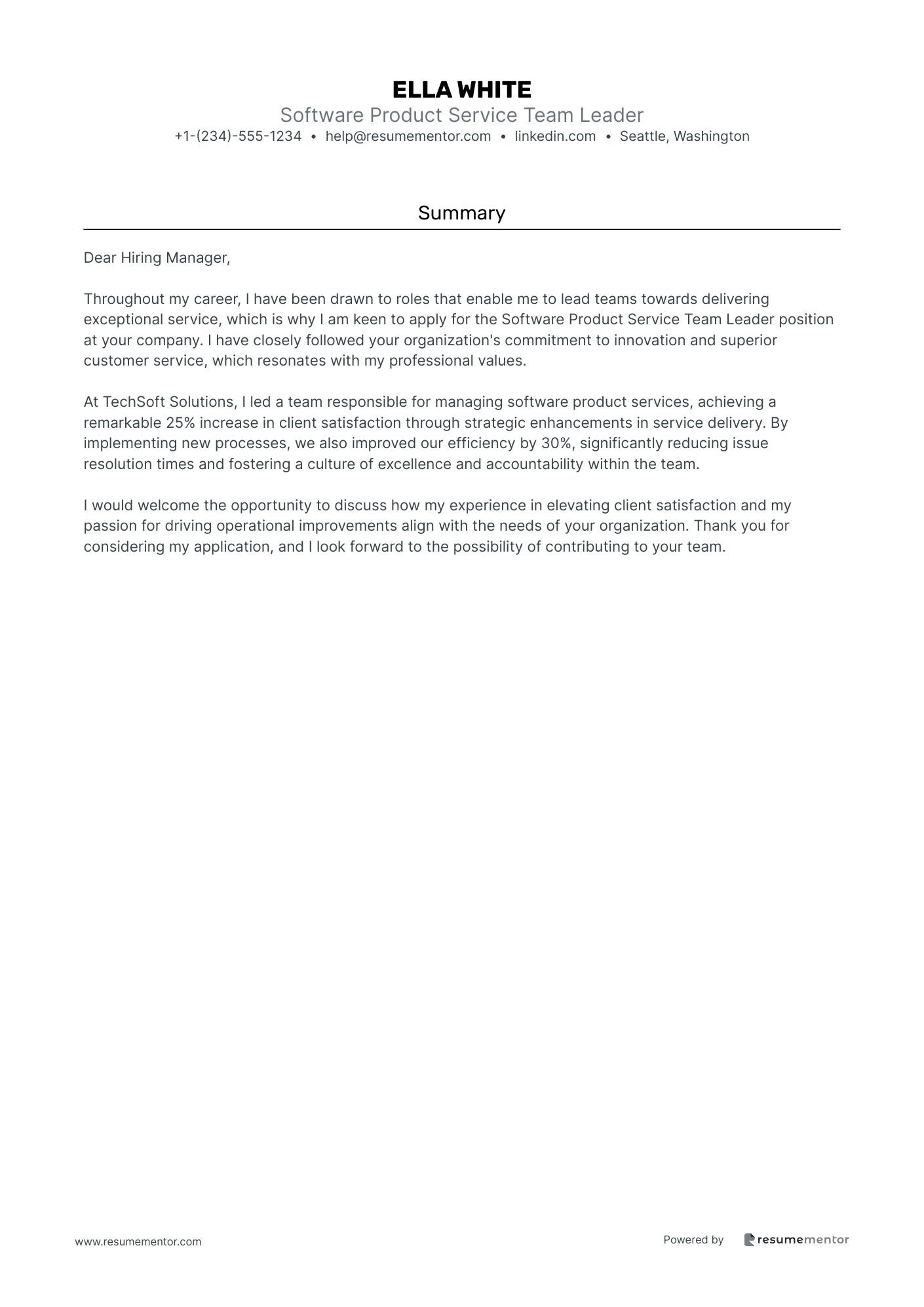 Software Product Service Team Leader