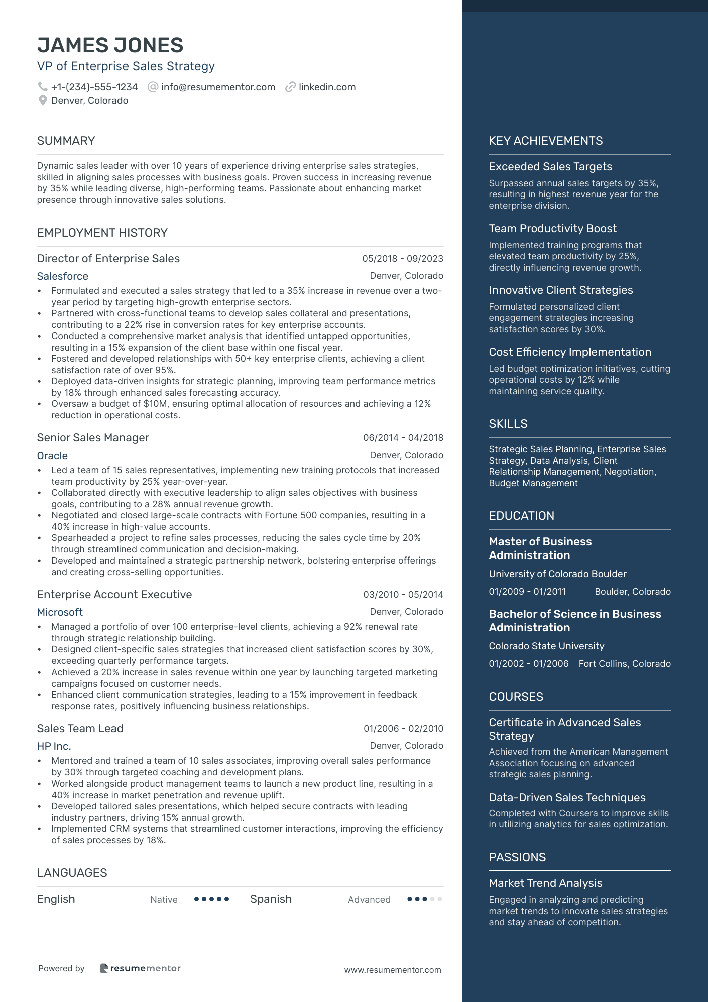 VP of Enterprise Sales Strategy