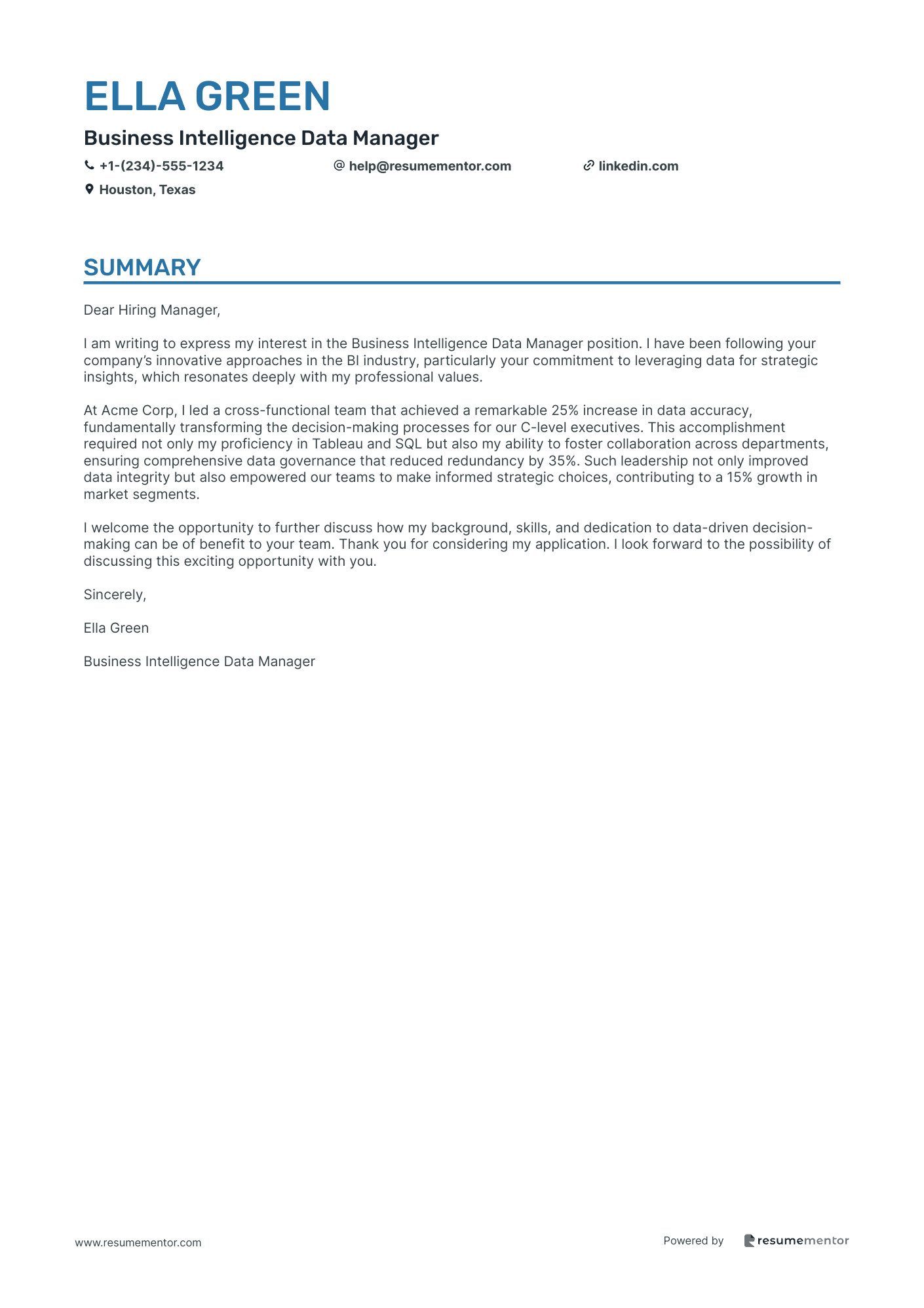 Business Intelligence Data Manager