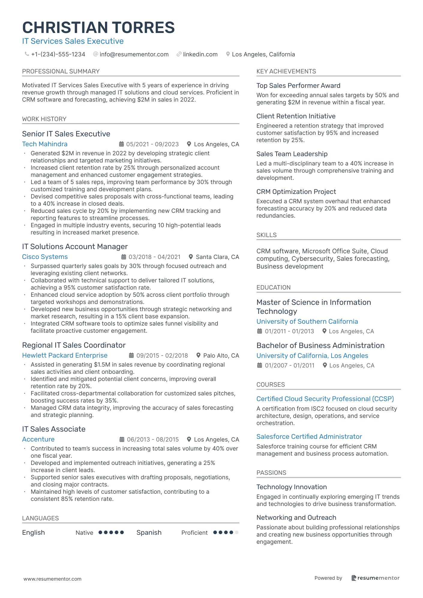 IT Services Sales Executive