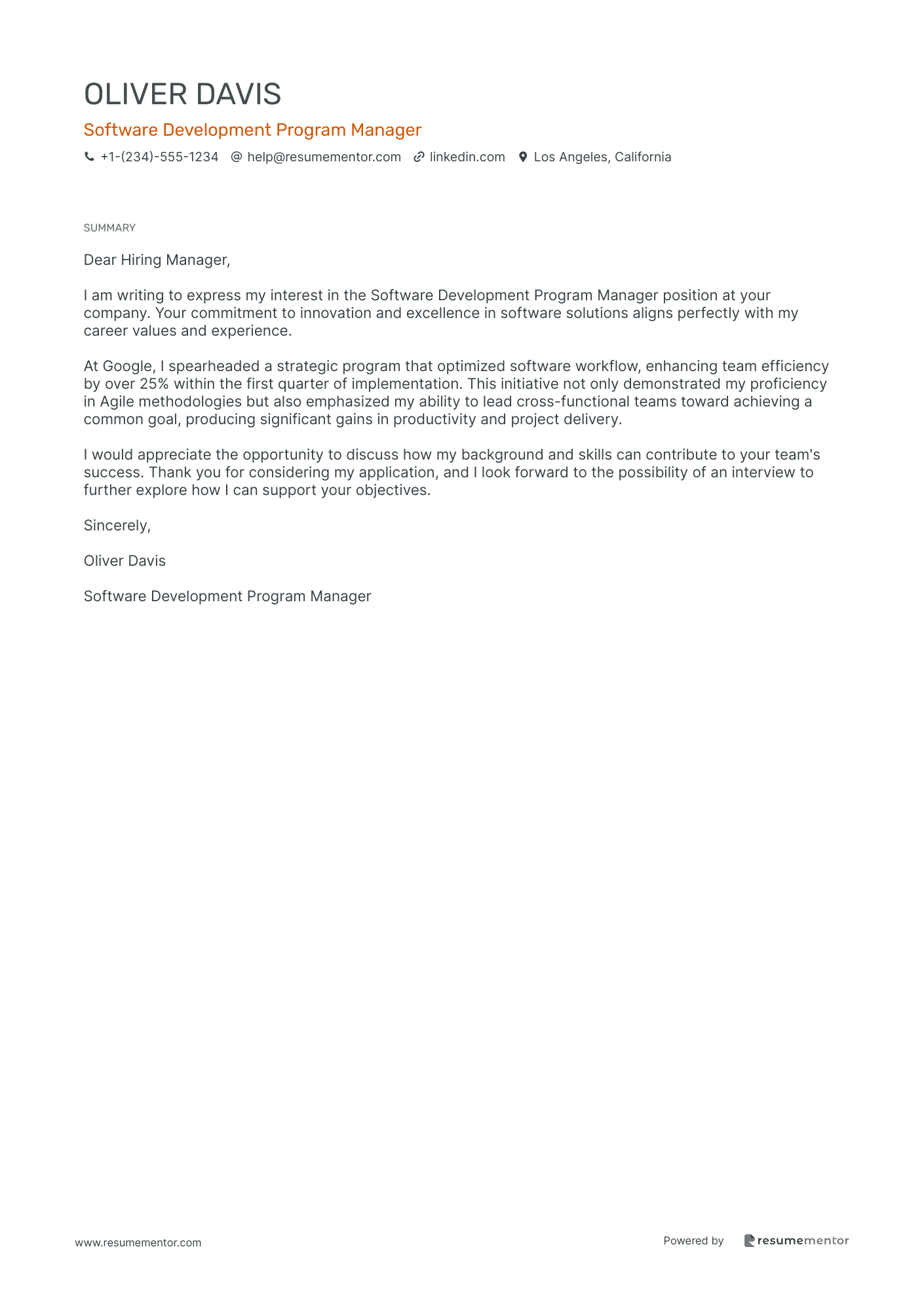 Software Development Program Manager