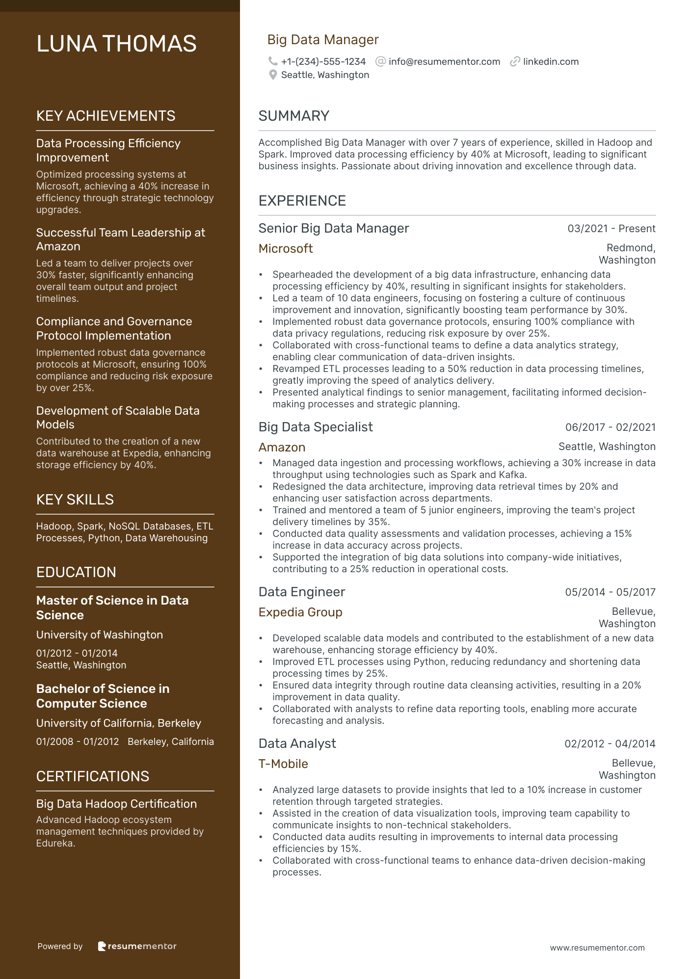 Big Data Manager